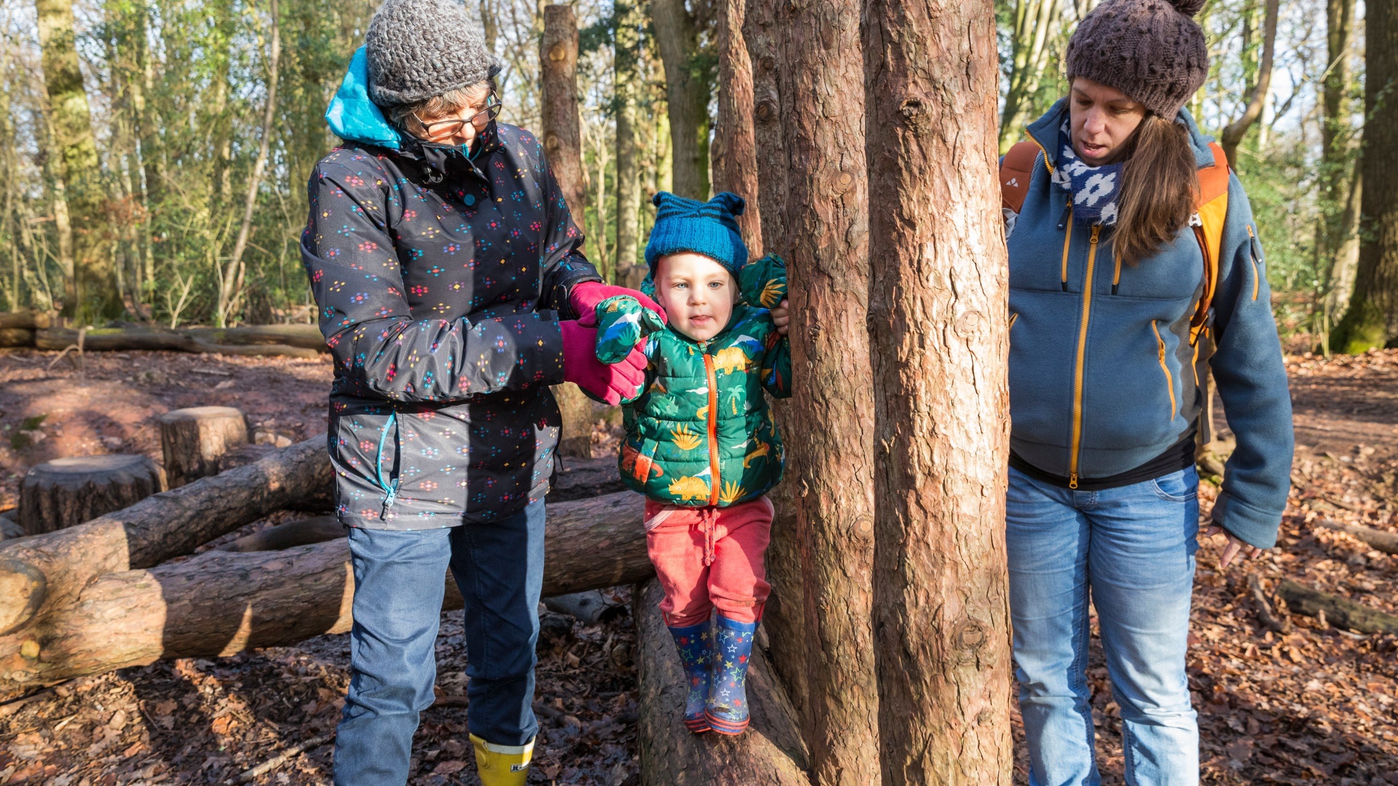 Visitors at Leigh Woods, Bristol