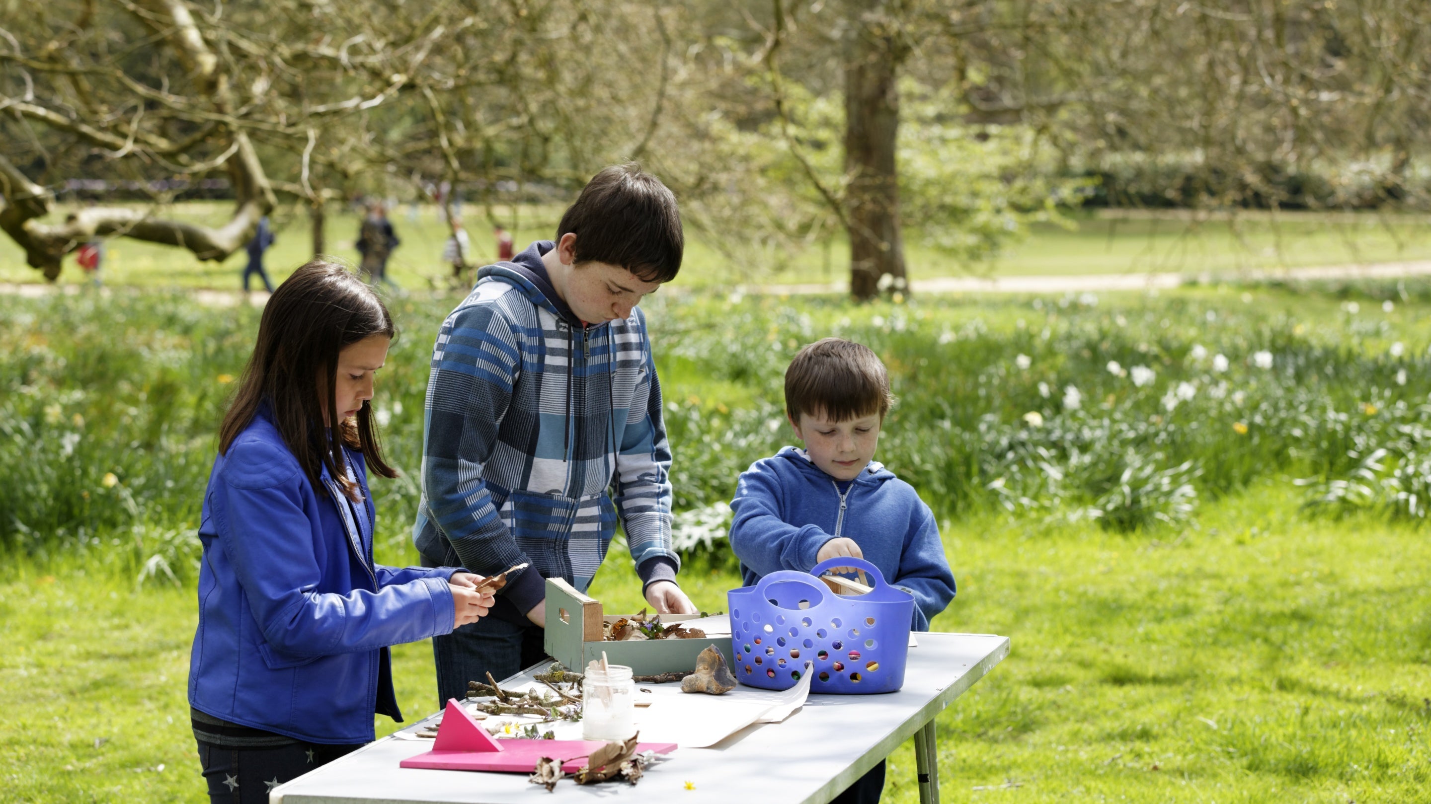 Children creating art from leaves, twigs and bark, in the grounds at Mottisfont, Hampshire