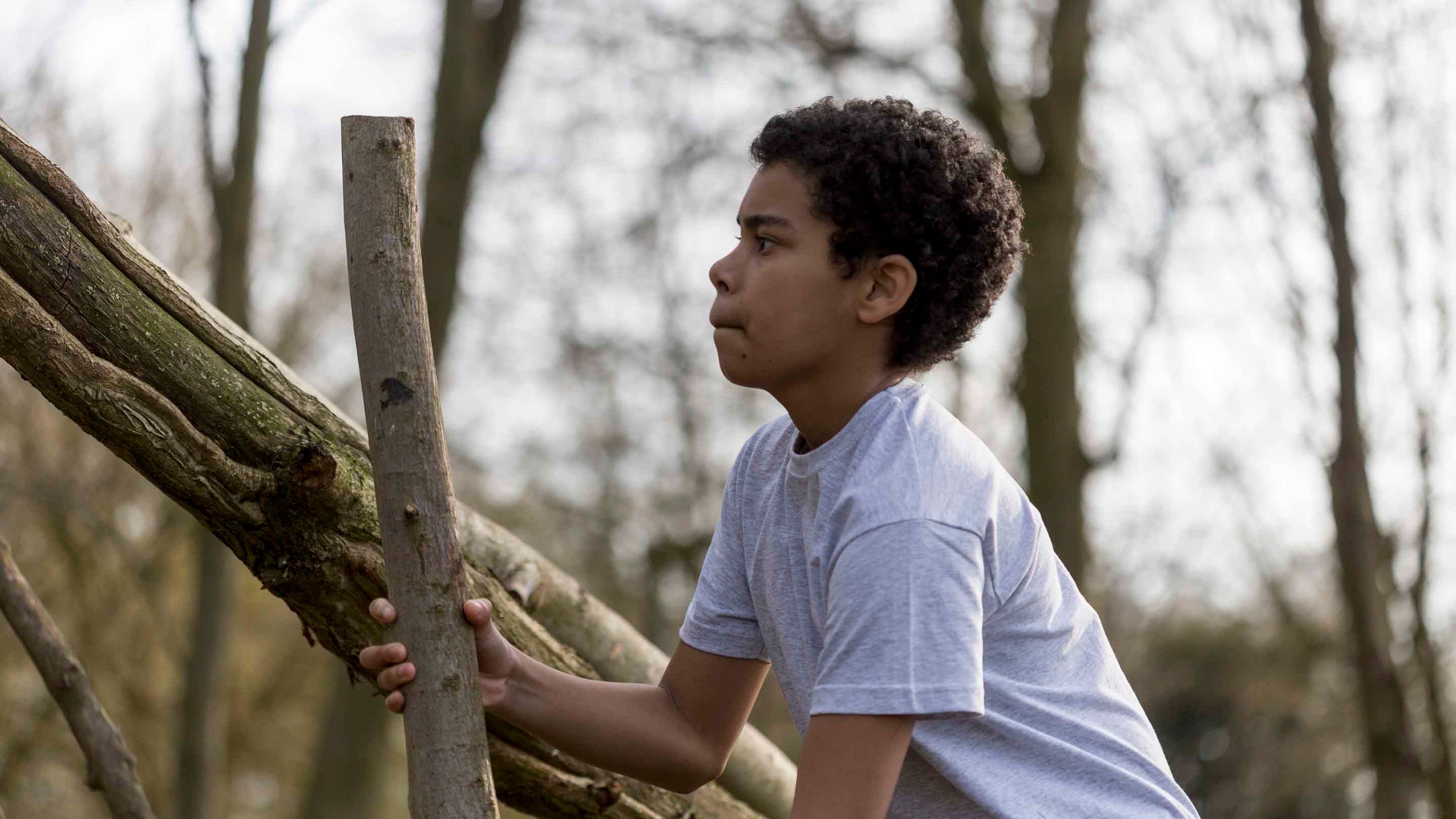 Den building in the natural play area at Wimpole Estate, Cambridgeshire