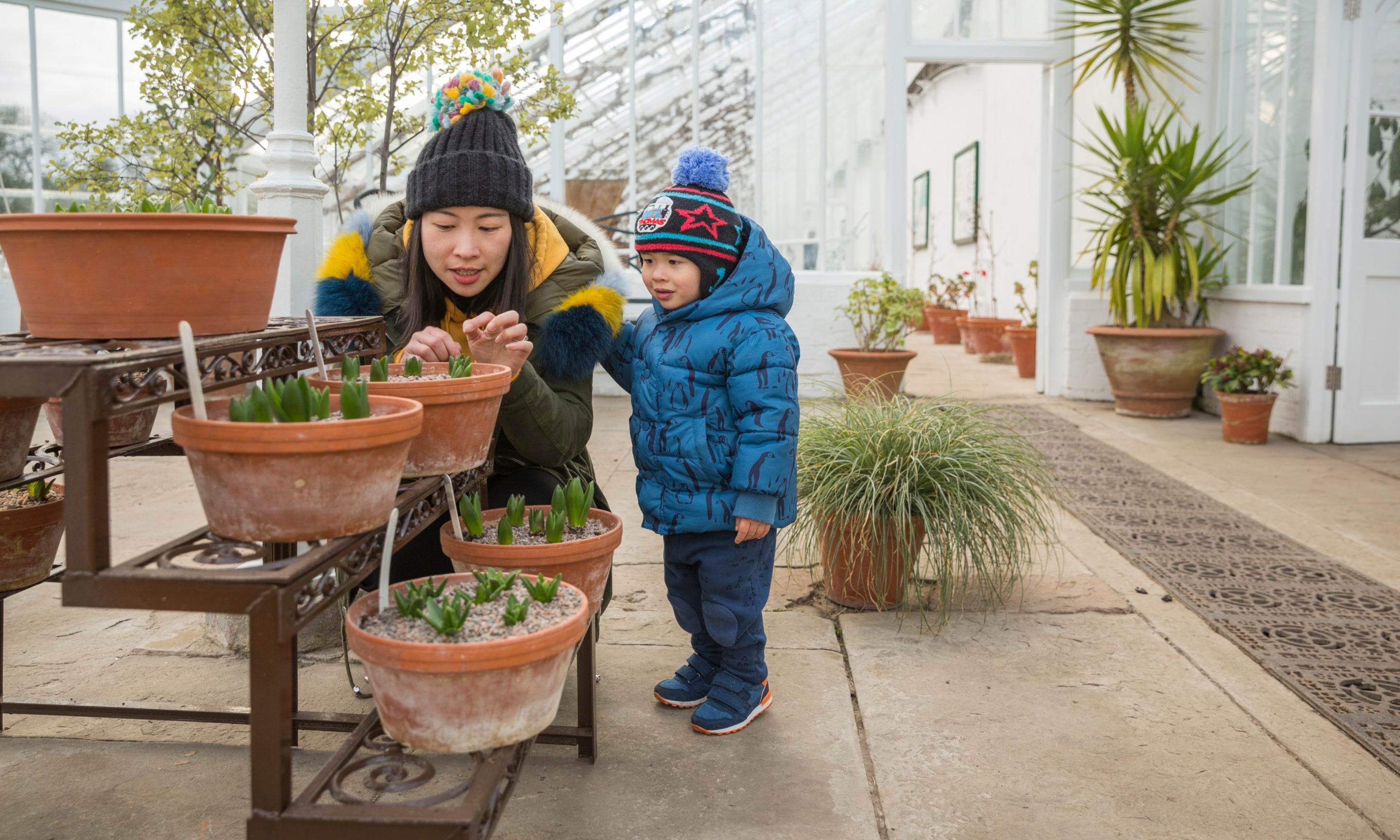 A toddler and their mother exploring the glasshouse at Clumber Park, Nottinghamshire