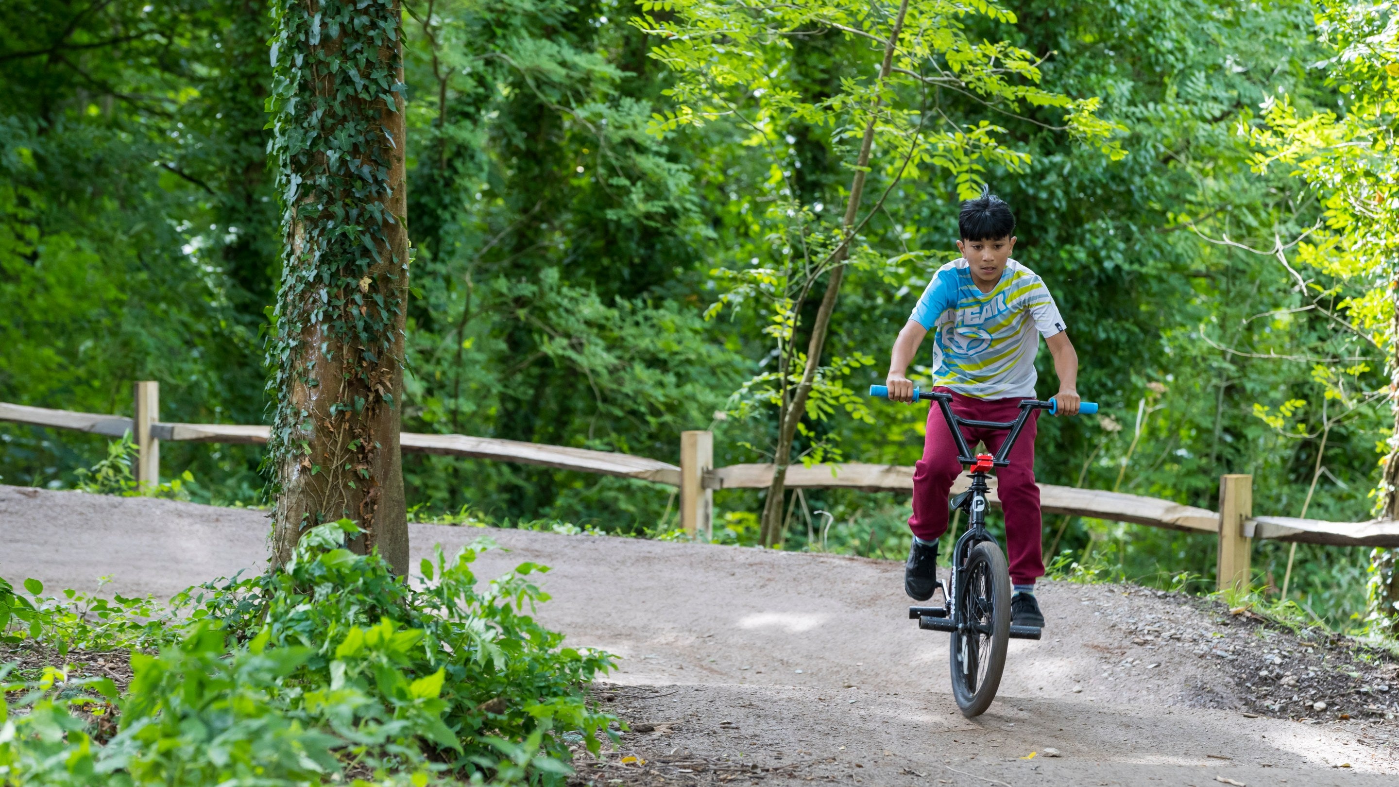 Cycling at Saltram, Devon