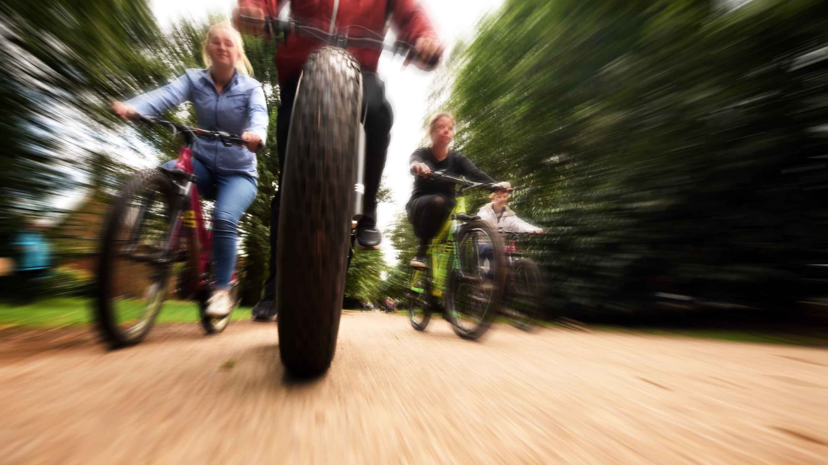 A blurred view of four people cycling on a path between trees at Clumber Park, Nottinghamshire.