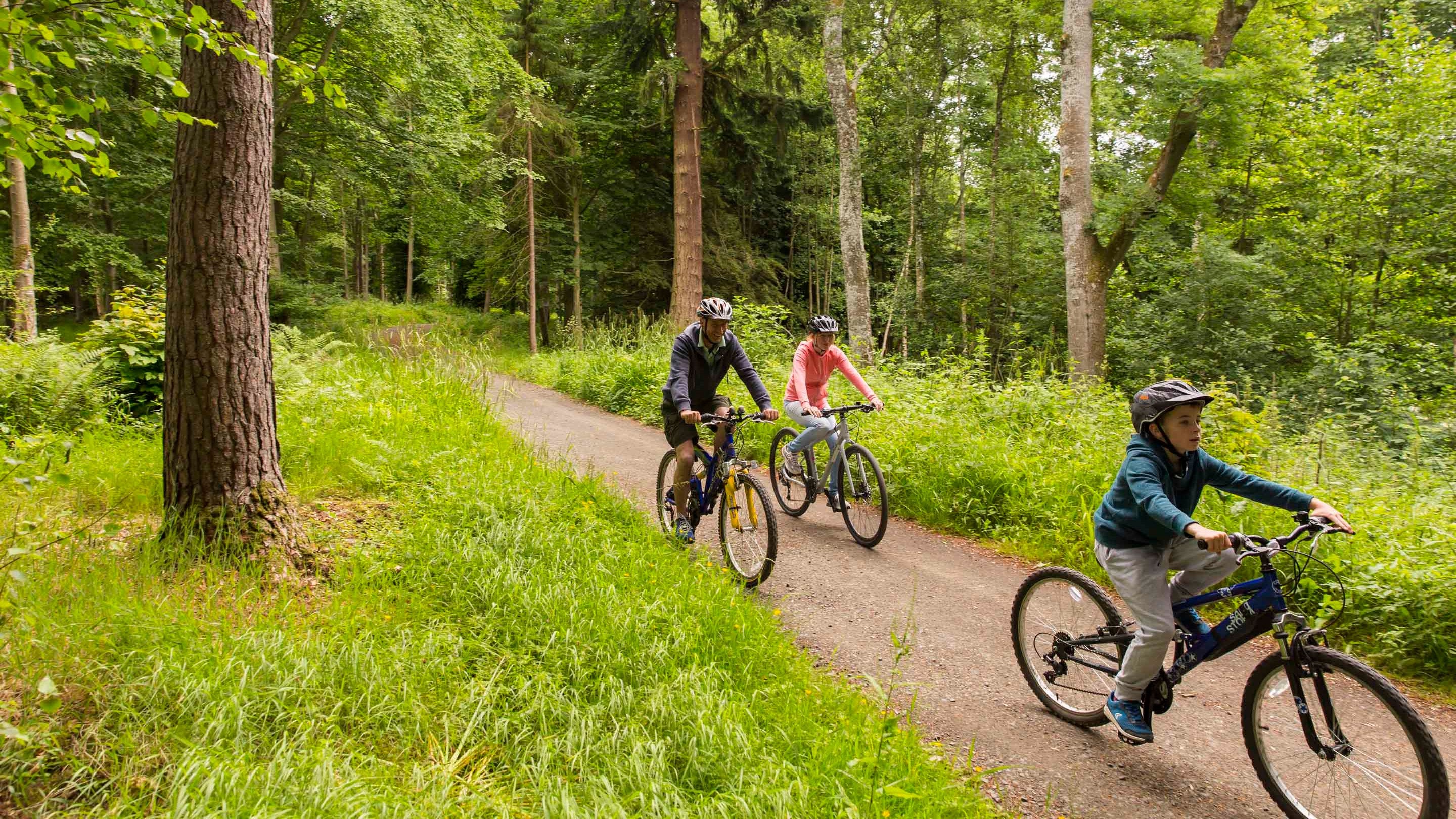 Two adults and a child cycle on a path through the trees on the Dragon Cycle Trail at Wallington, Northumberland