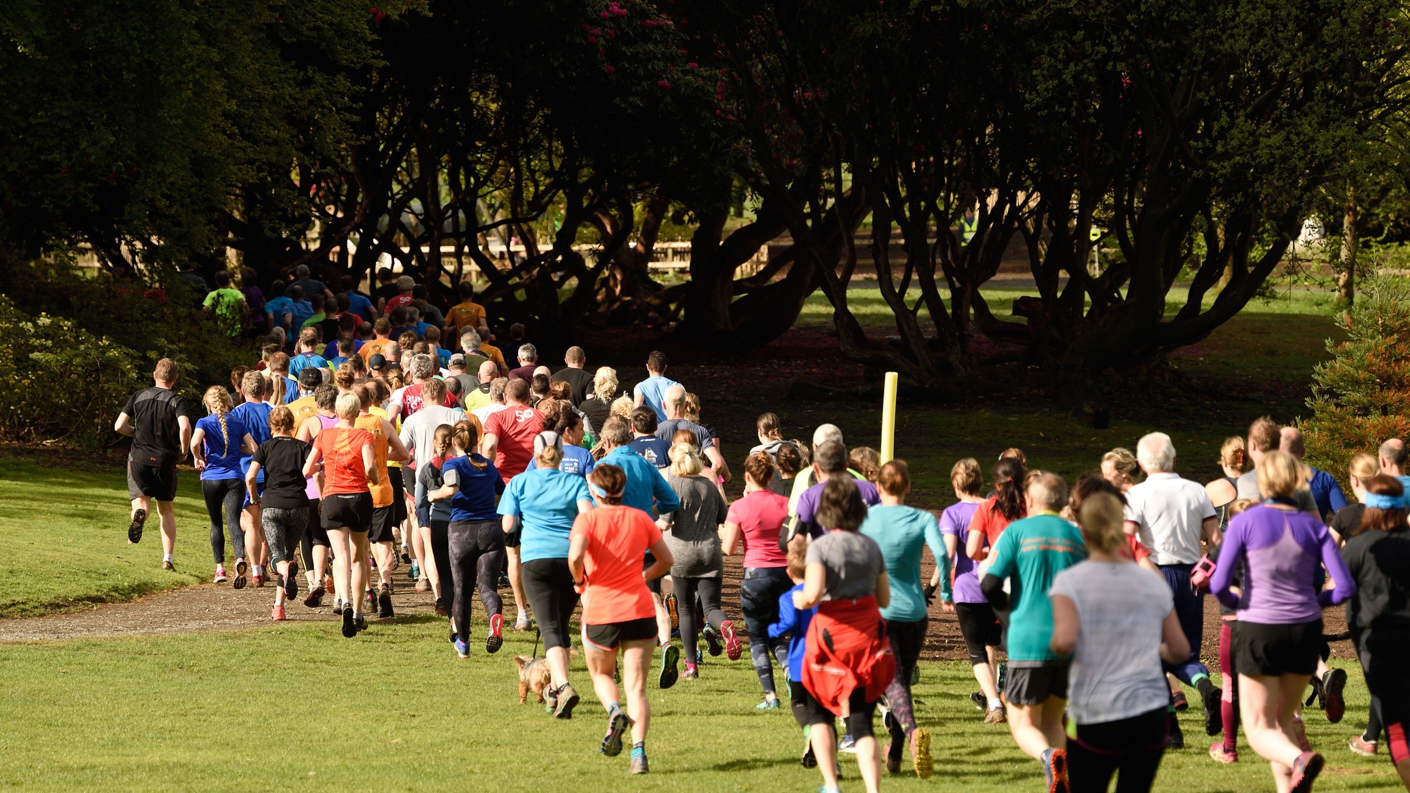Runners at parkrun during the Fell Foot Outdoor Festival at Fell Foot, Cumbria