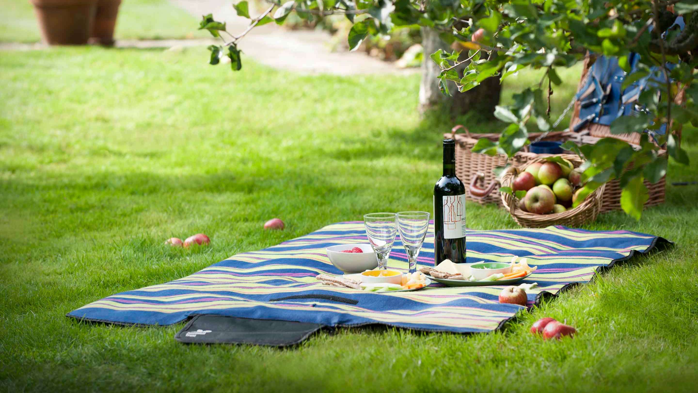 Picnic blanket with glasses and a bottle of wine, beside an apple tree