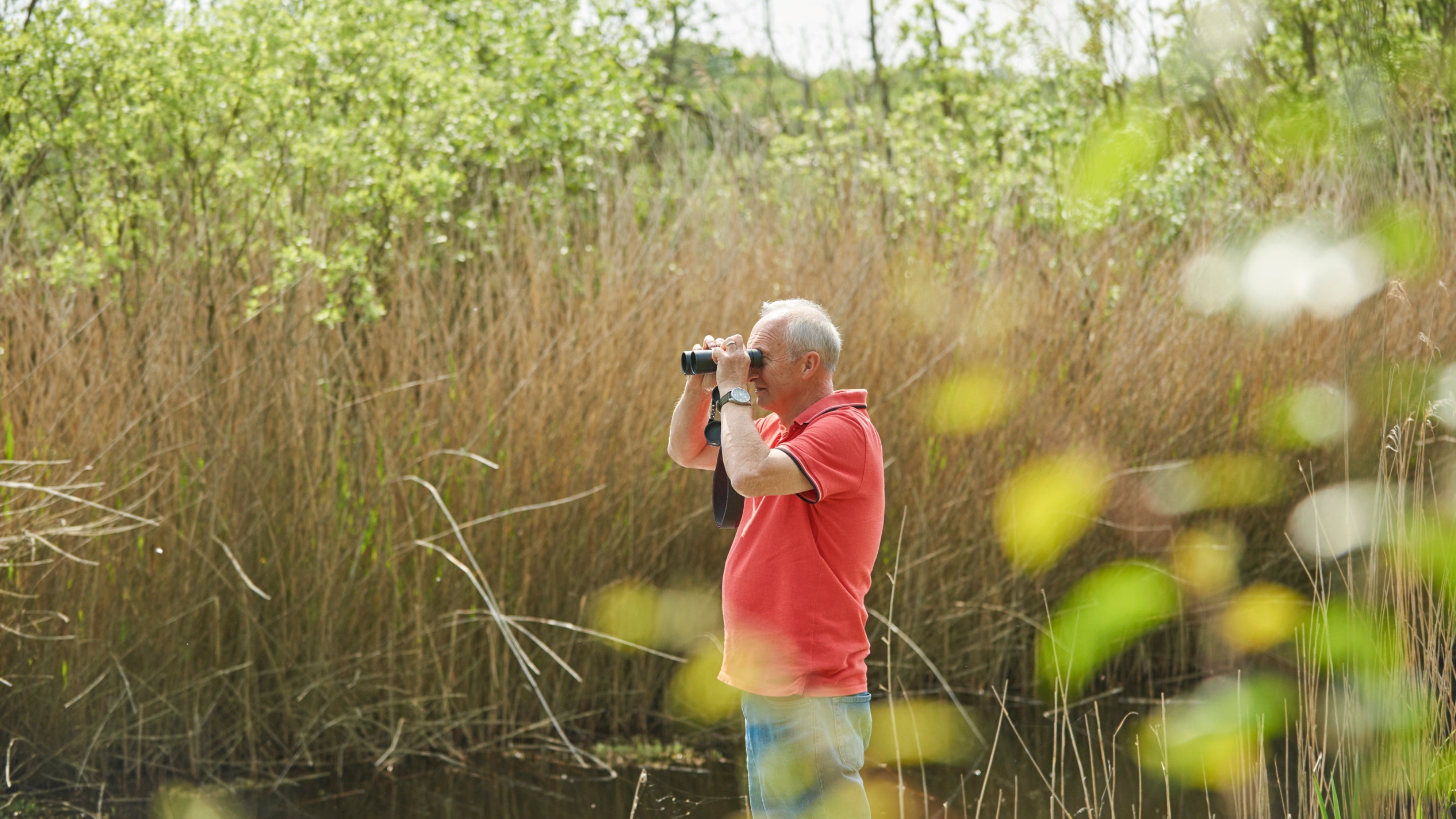 Man looking through binoculars amidst tall grass
