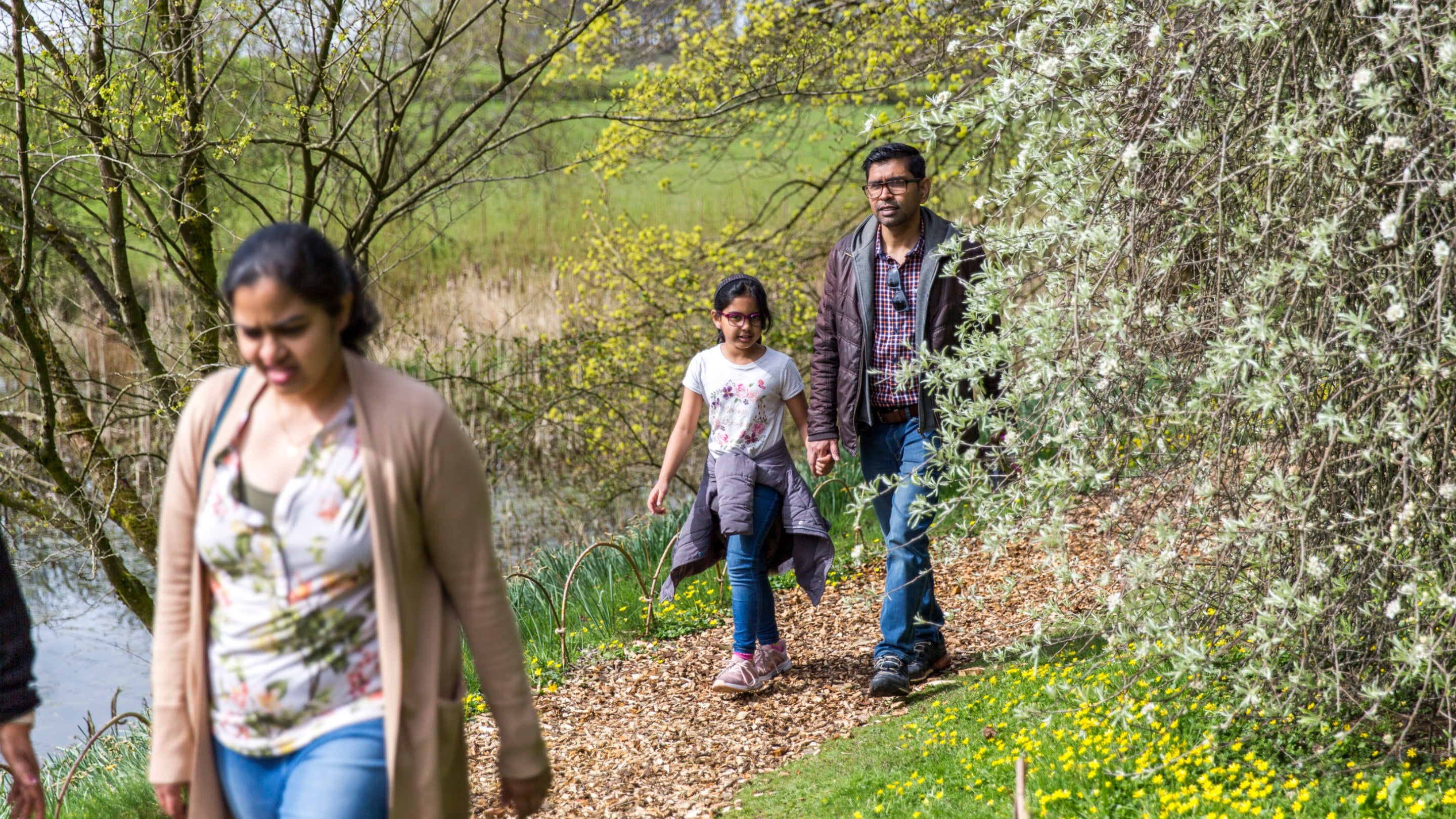Family walking along path through wild parkland, with wildflowers on ground and trees in bloom