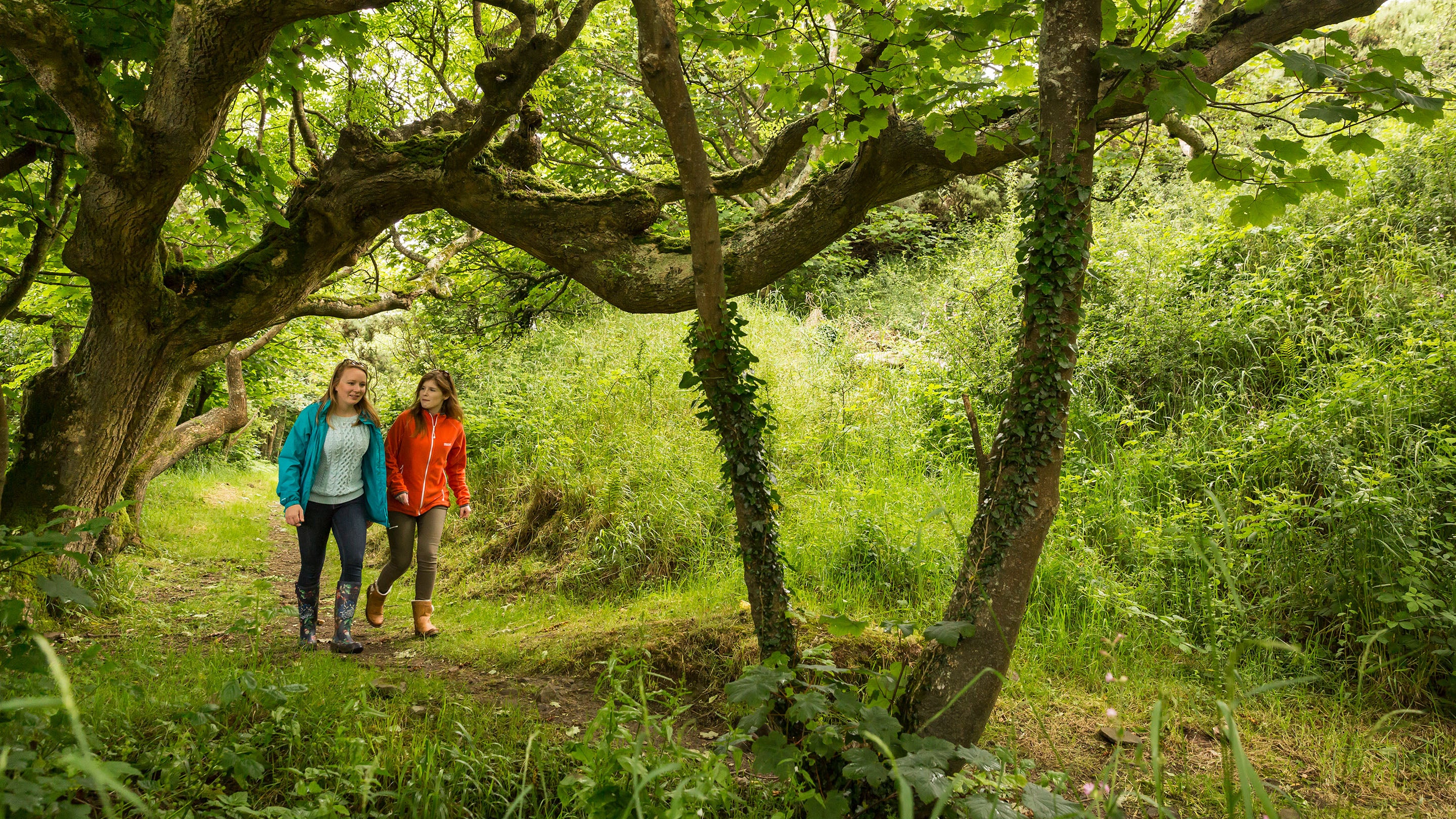 Visitors walking in woodland on Southwood Estate, Pembrokeshire