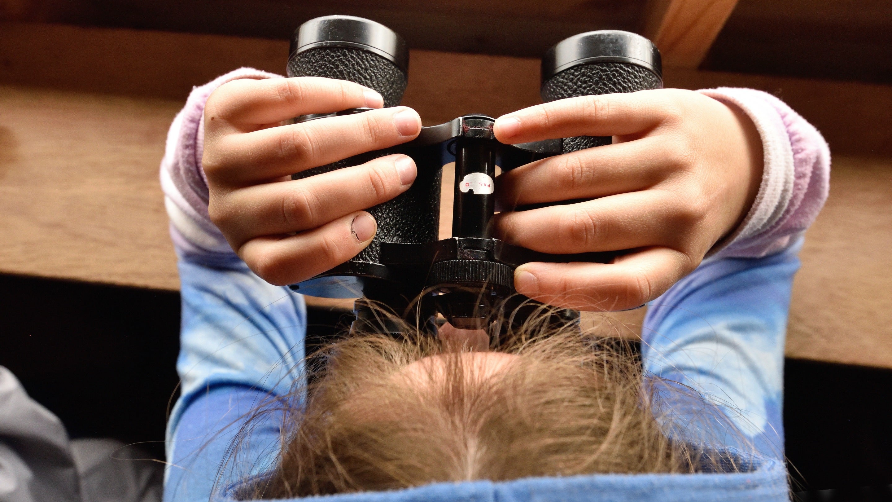 View from above of visitor wearing a hoodie, holding binoculars to their eyes, in a bird hide