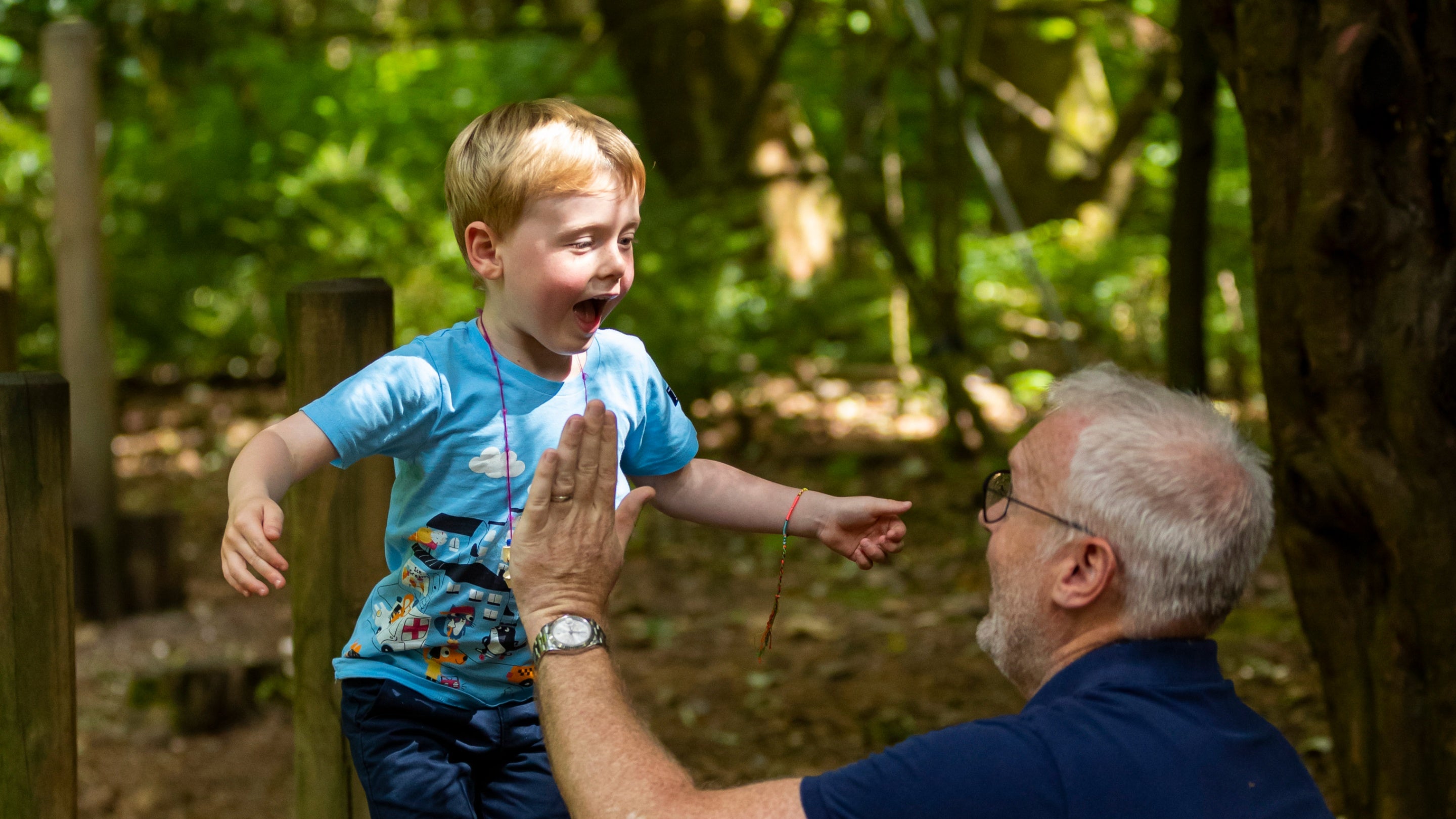 A child about to jump into an adult's arms at the woodland play area at Clandon Park, Surrey