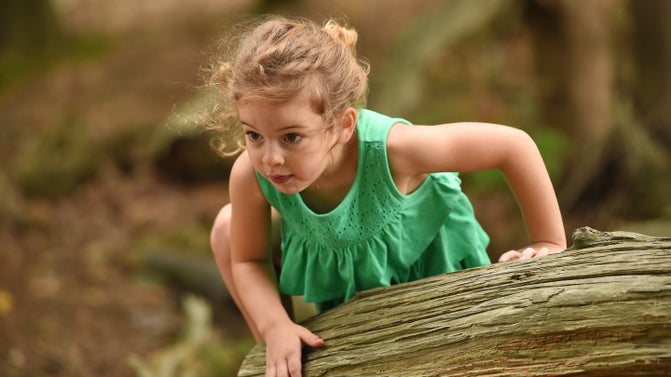 A child clambers about on a tree on Brownsea Island, Poole Harbour, Dorset