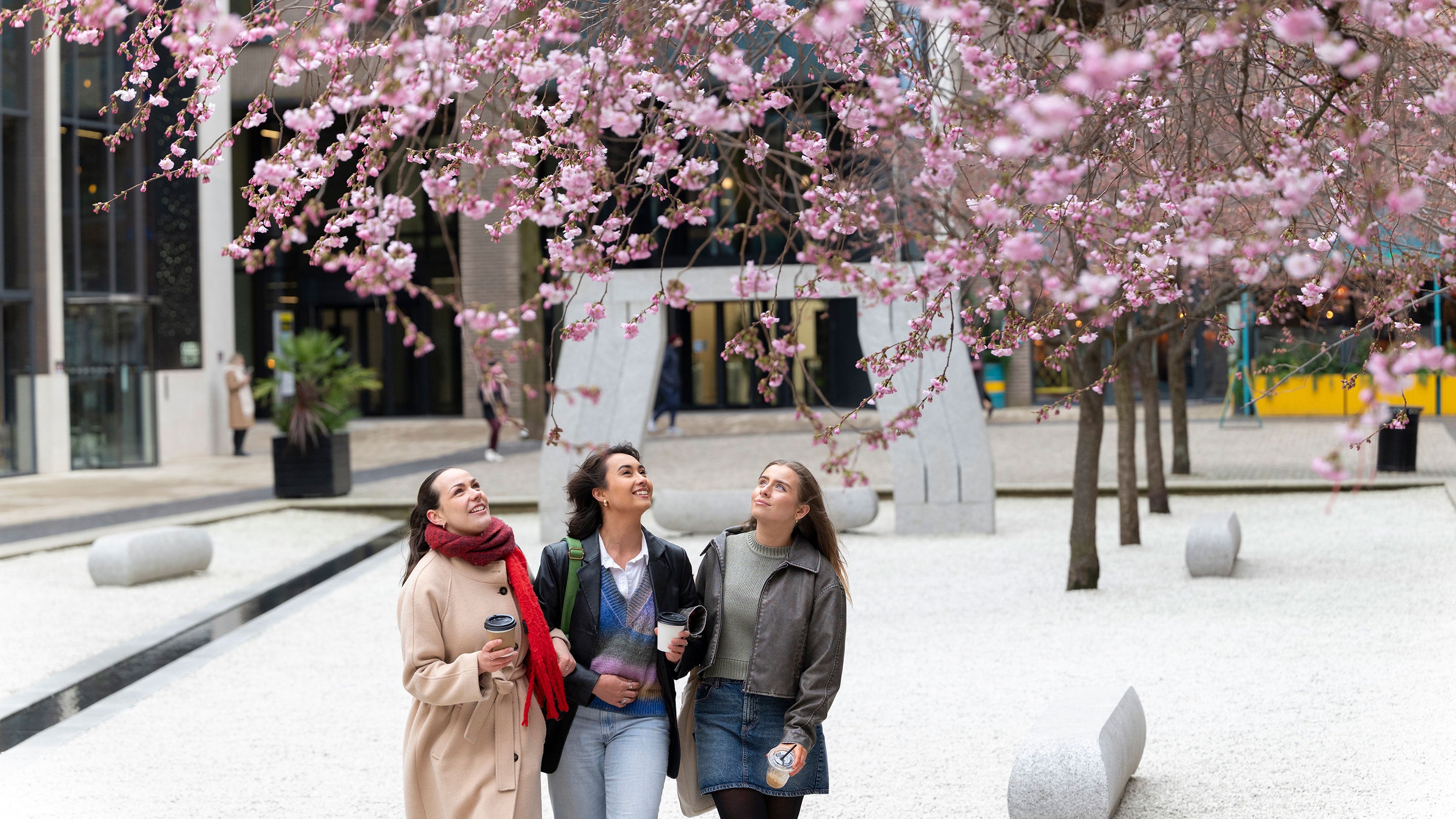 A group of friends walk arm in arm admiring blossom