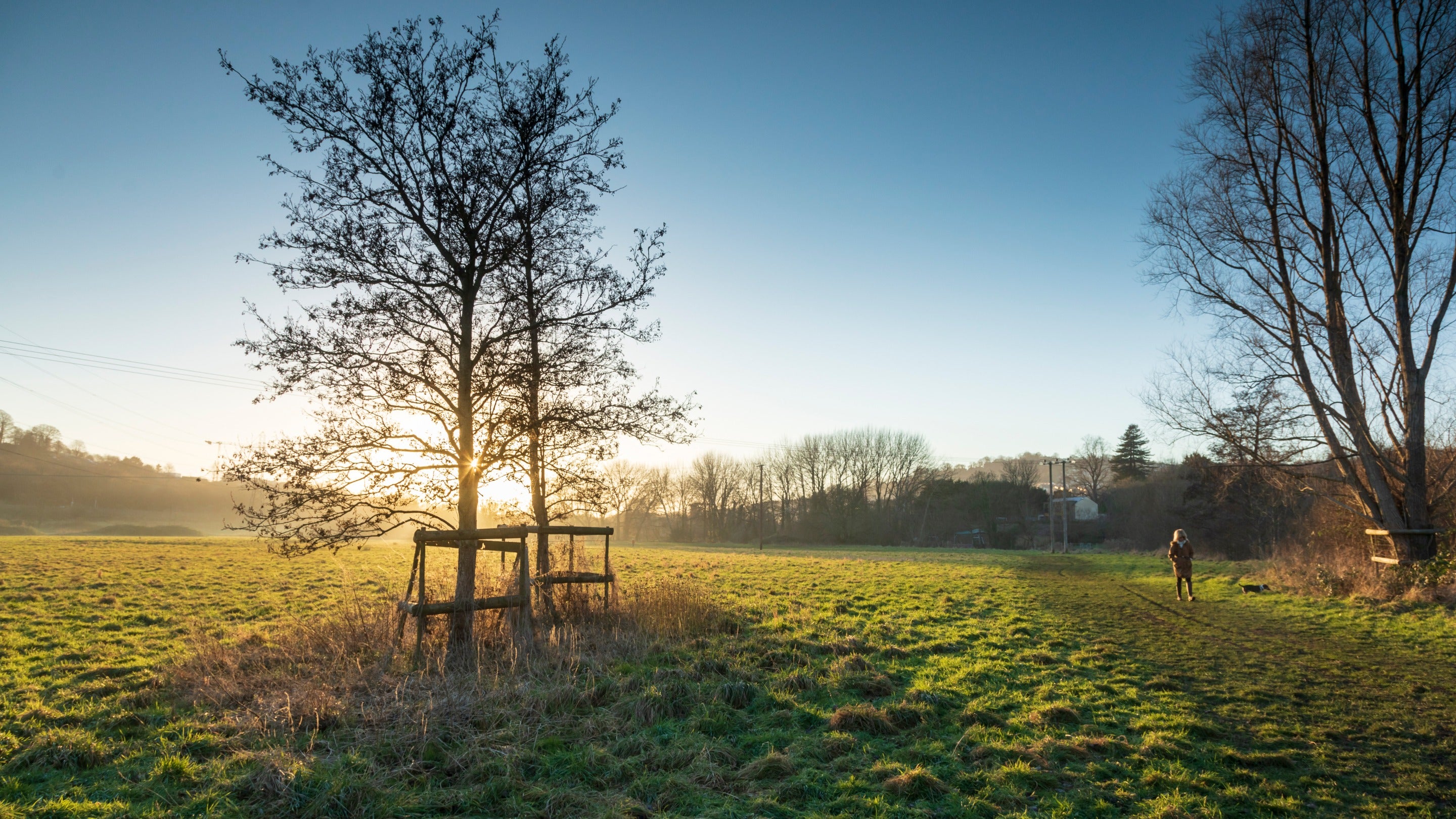 A person walking through a field as the sun sets behind a tree