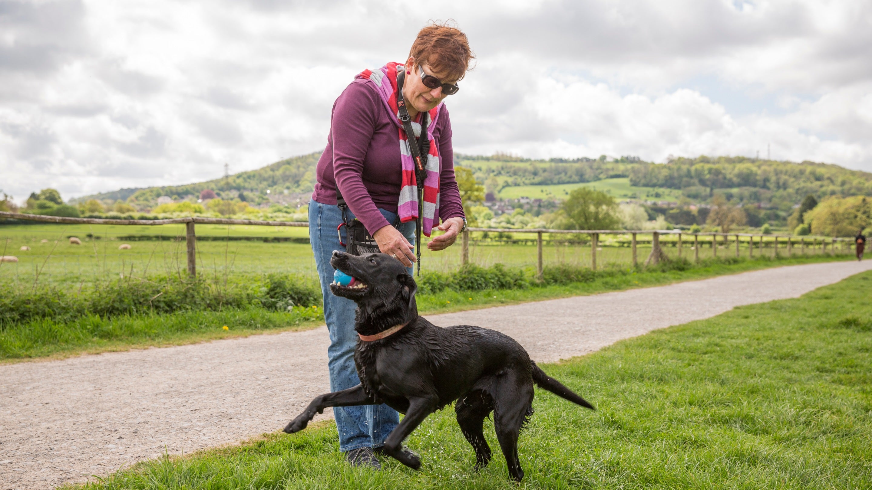 A dog looking wet with a ball in mouth and his owner on the riverbank running alongside a path.