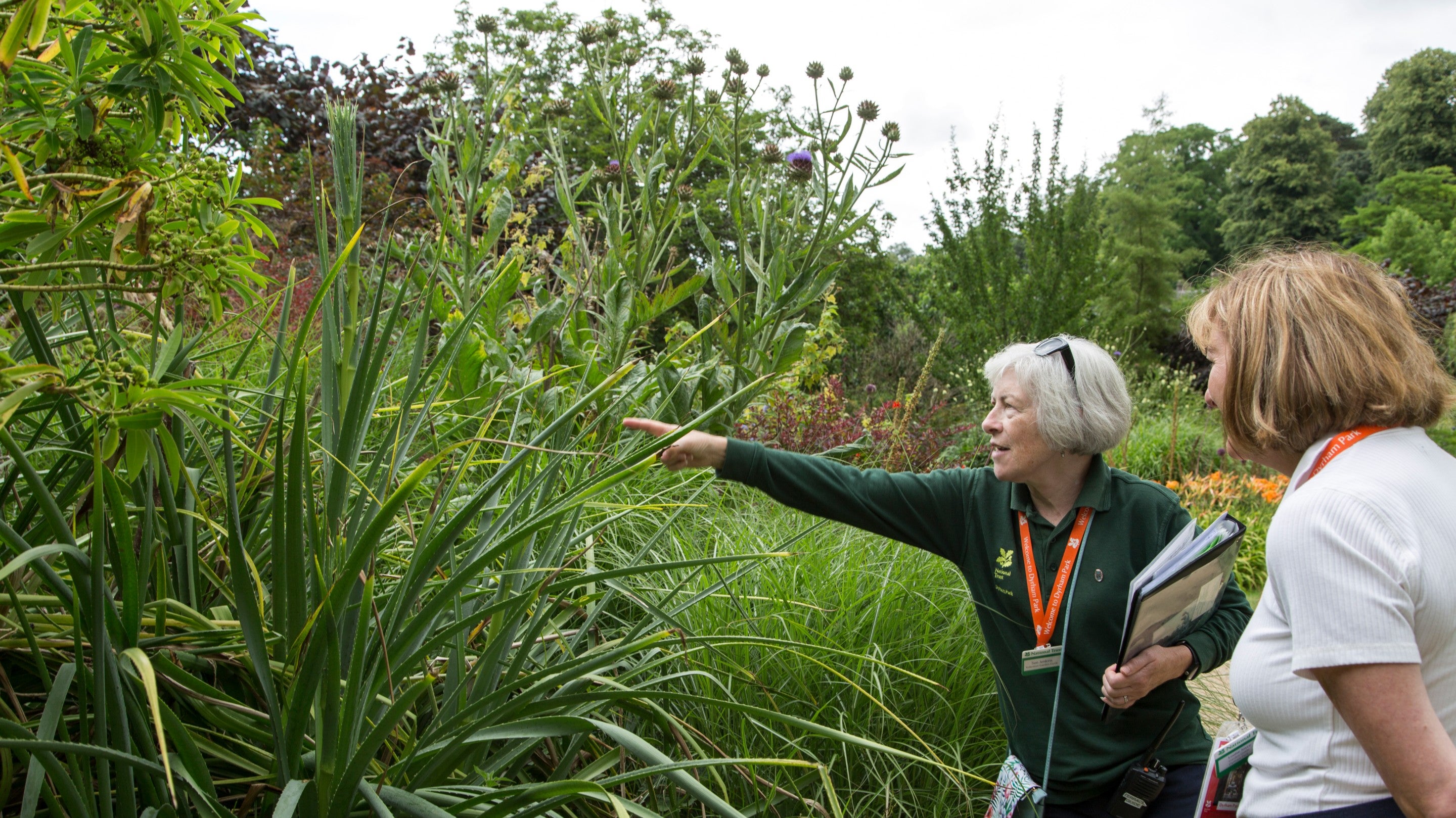 Volunteers in the garden at Dyrham Park near Bath and Bristol