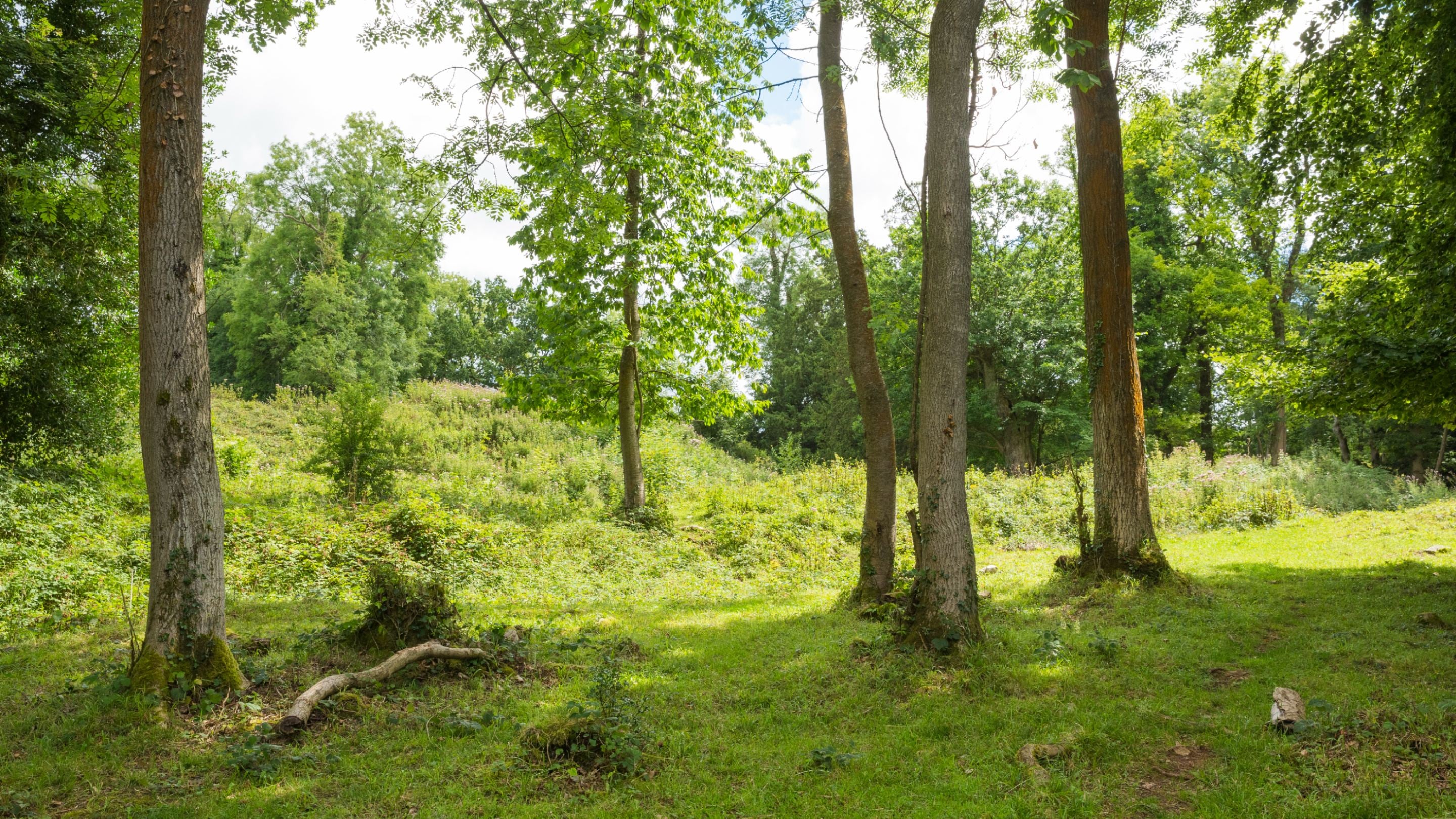 Leigh Woods, Bristol