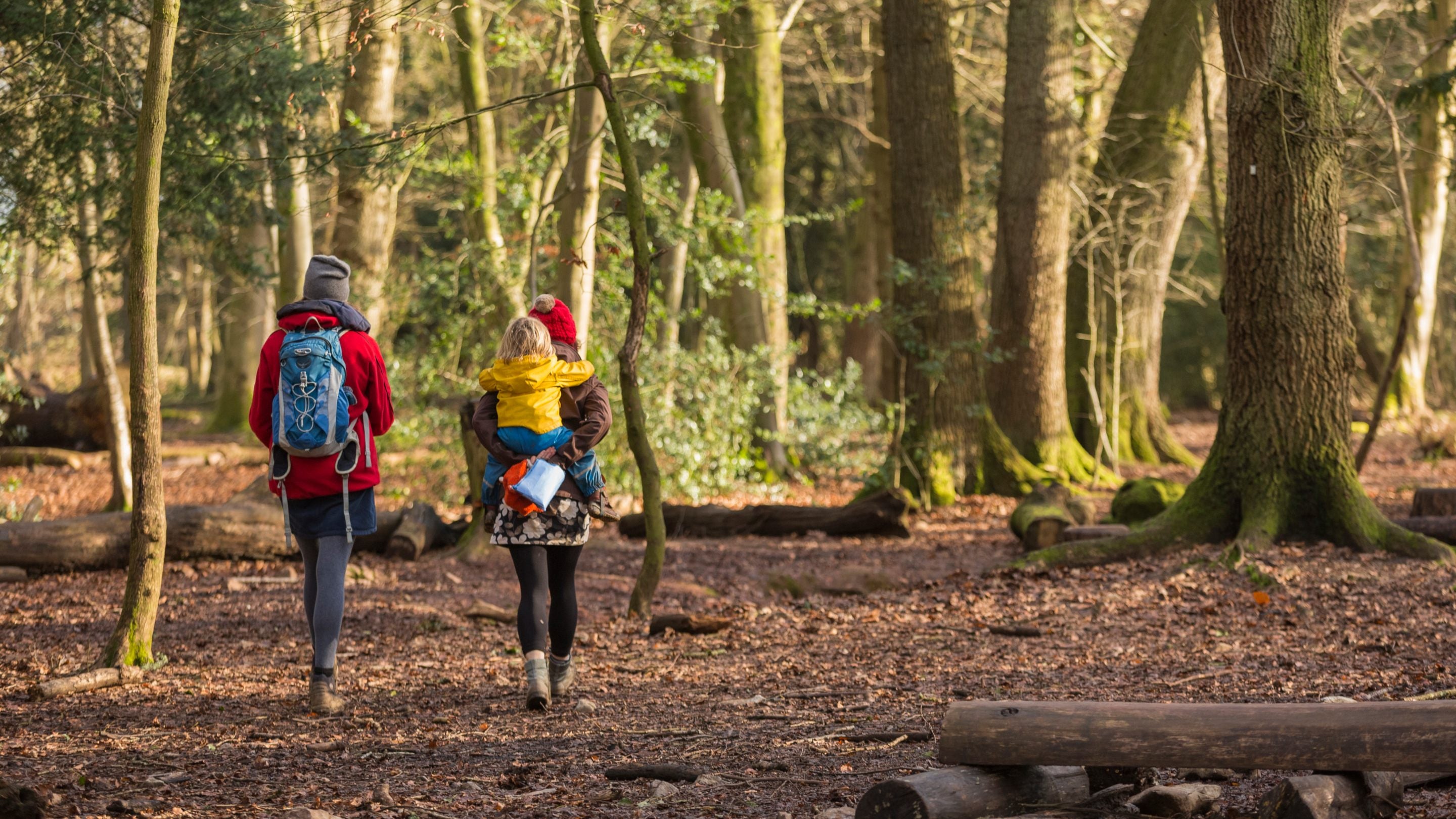 Visitors walkng at Leigh Woods, Bristol