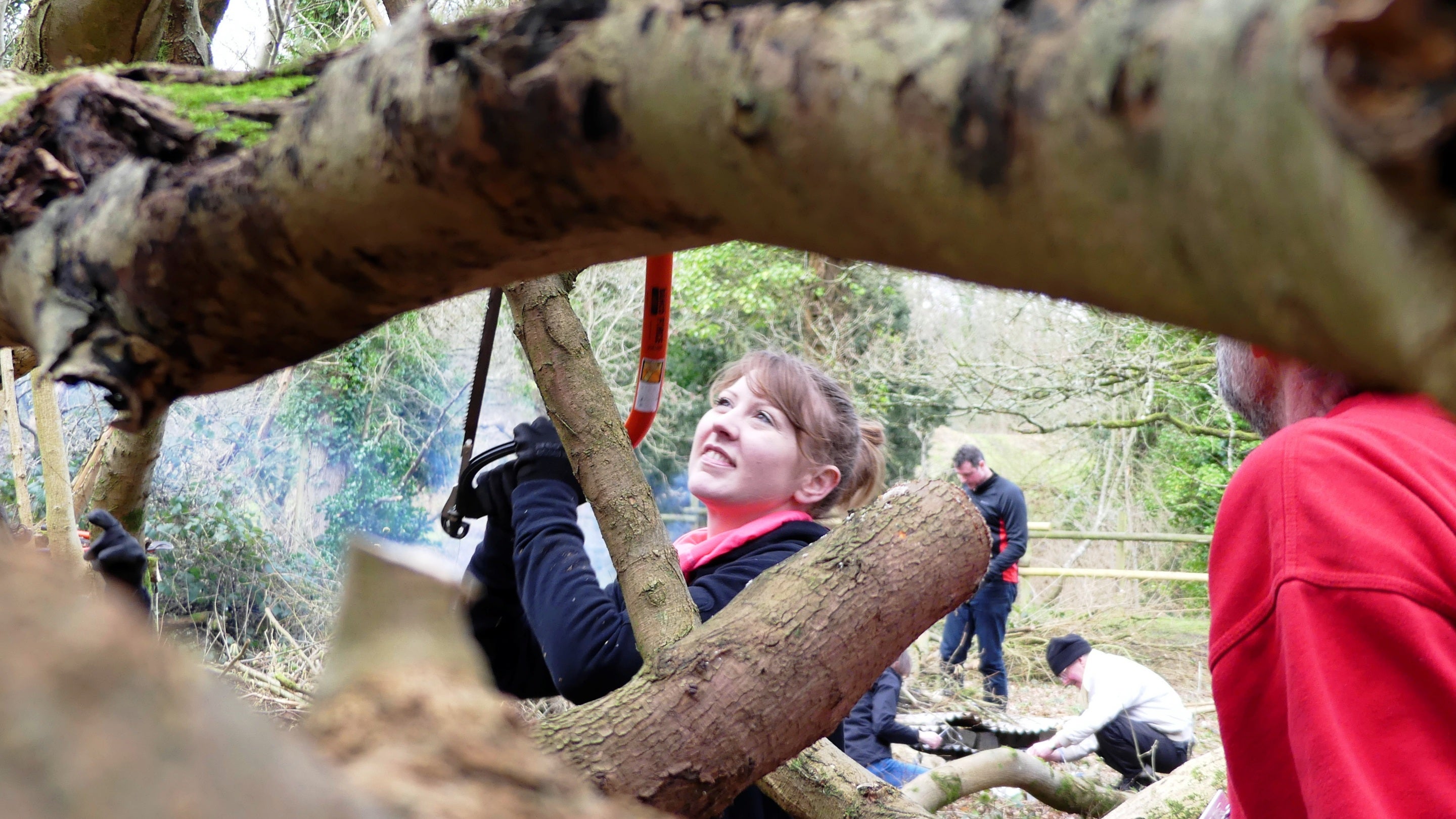 Volunteer hand sawing through branches at Leigh Woods, Bristol