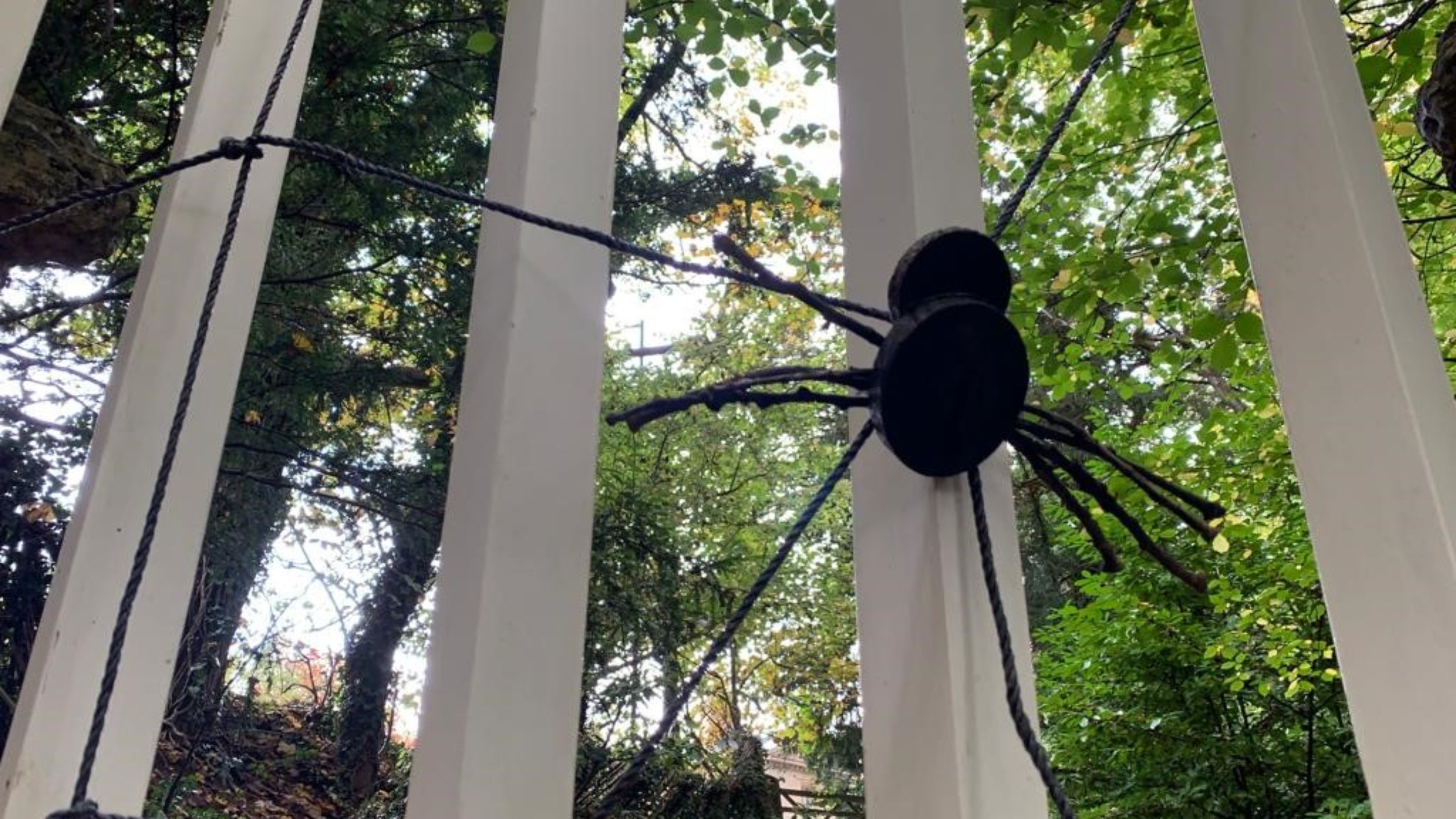 A large spider hanging on the Rock Gate at Prior Park.