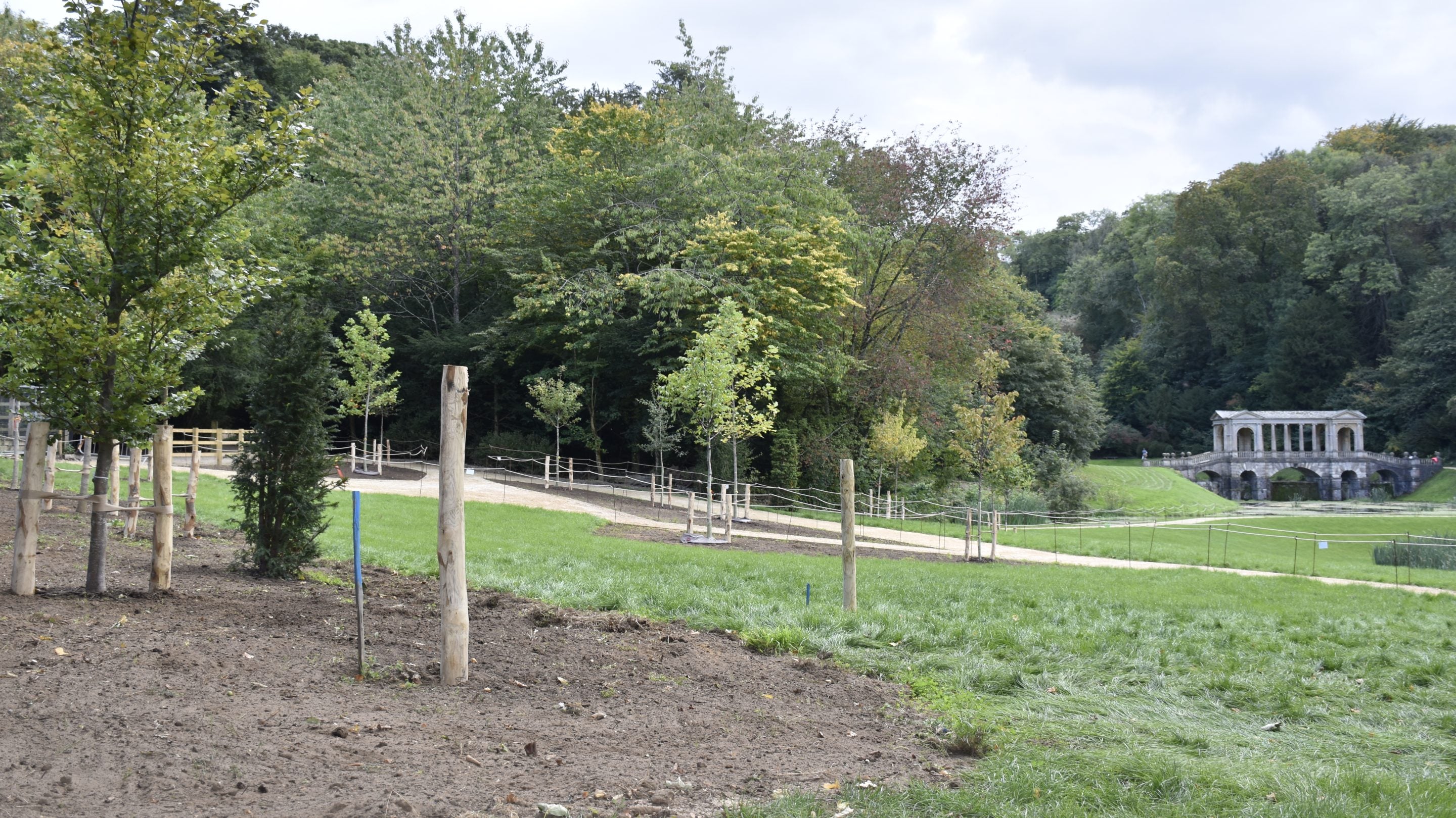 New trees in the foreground with established garden and the Palladian Bridge behind, Prior Park, Bath