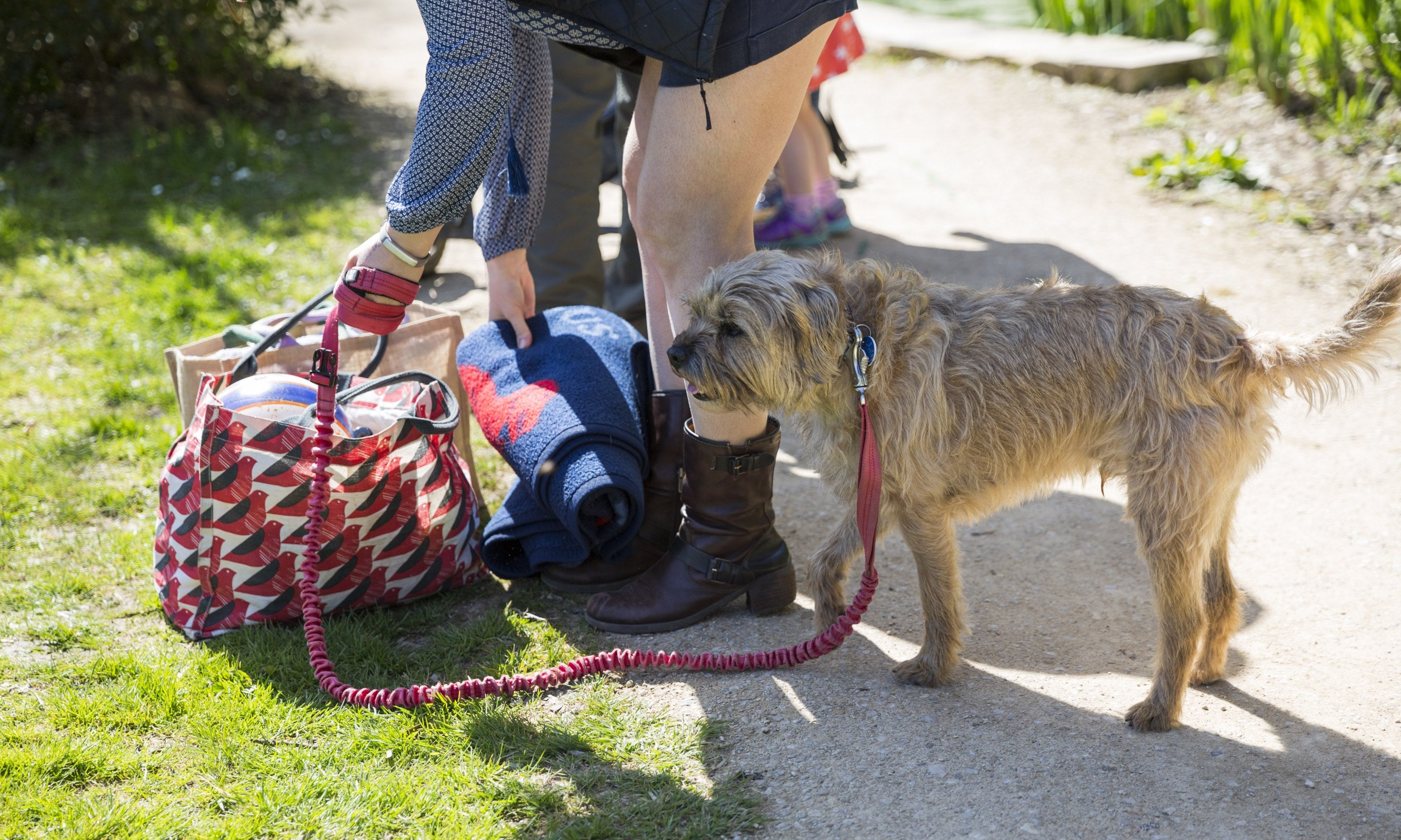 A dog stopped on the path by the Serpentine Lake, owners bending over to their bags