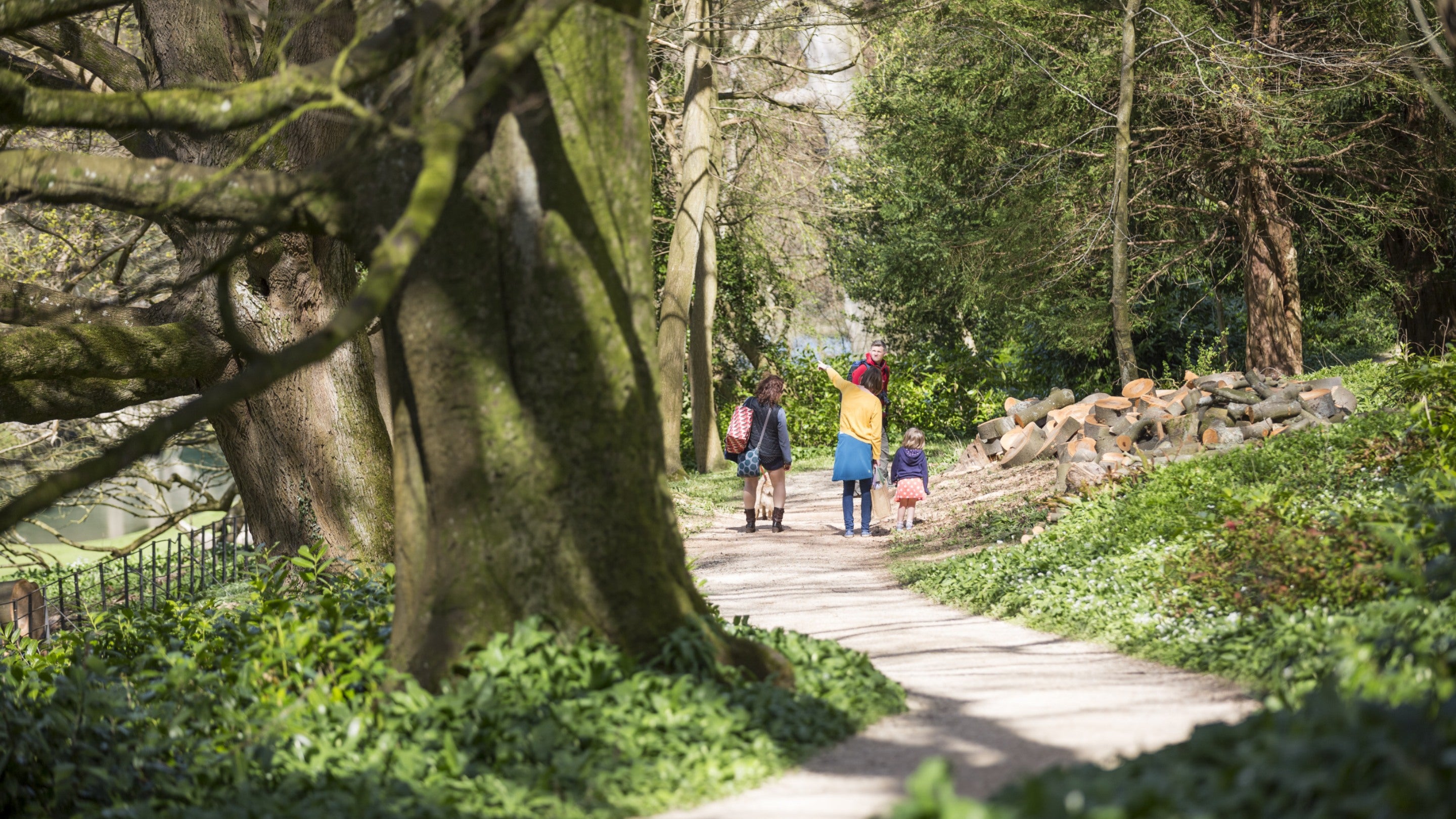 Visitors walking on the woodland path at Prior Park, Bath