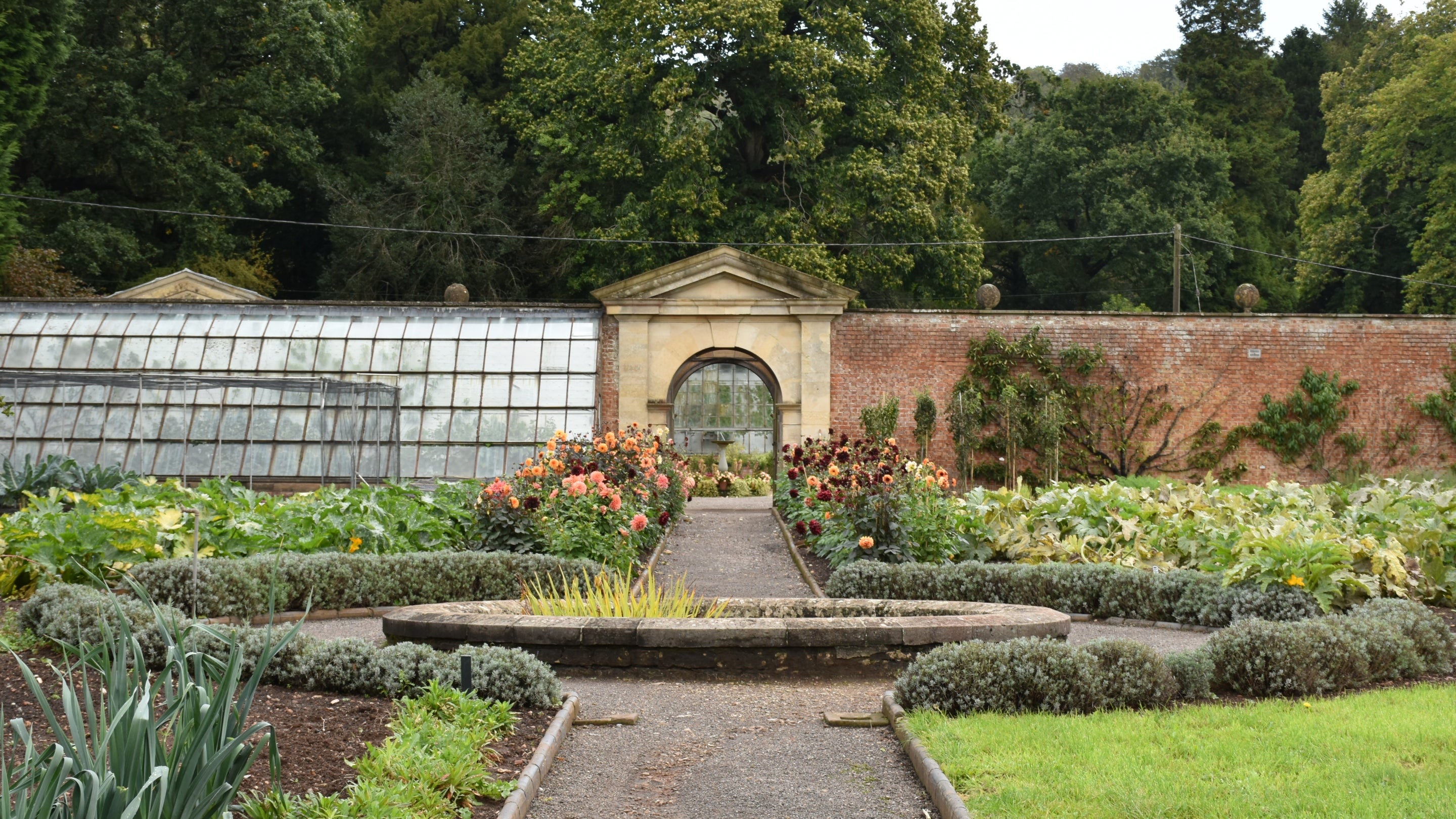 A garden path lined with flower borders leading to a green house