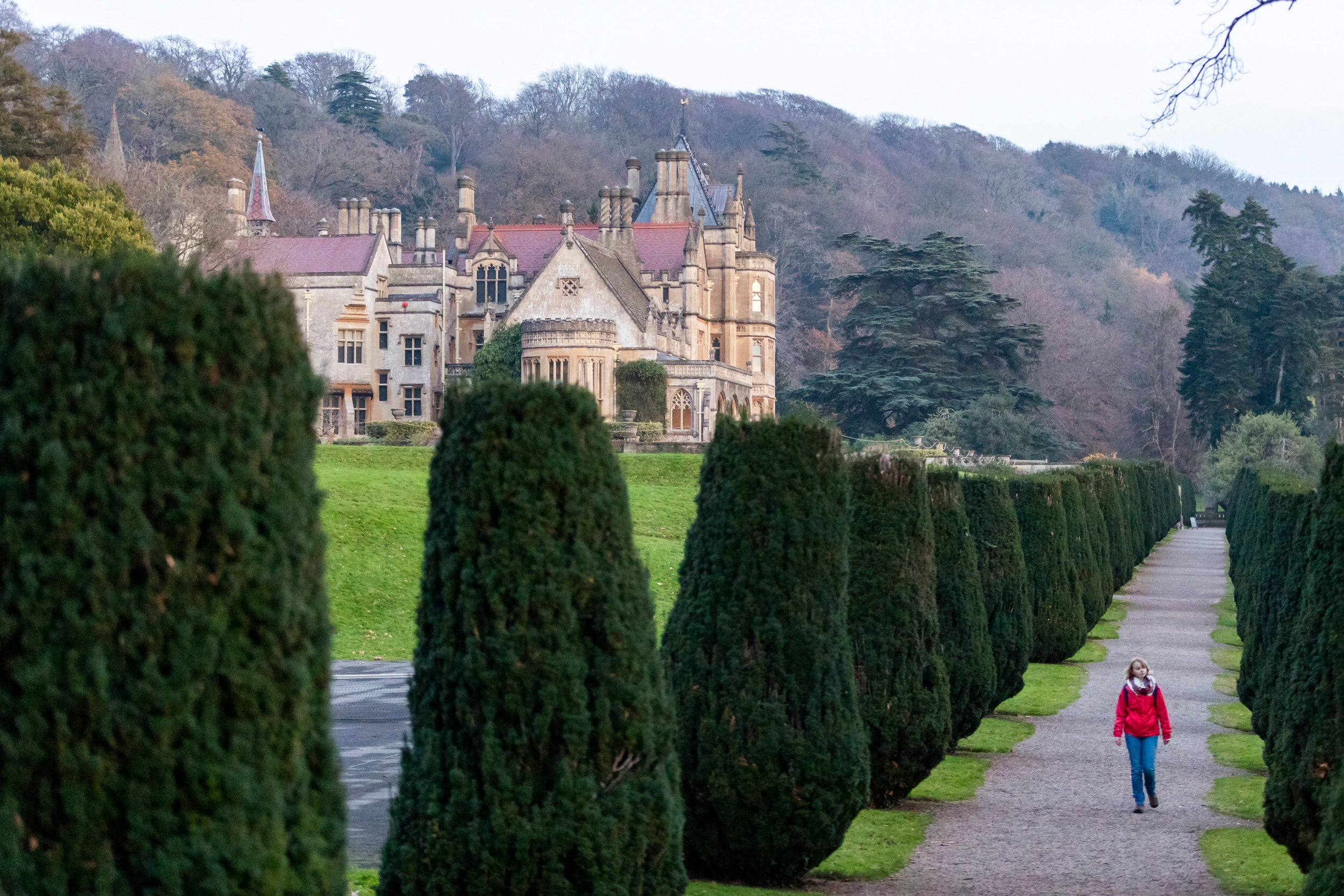 Visitor on the Yew Walk at Tyntesfield, Somerset