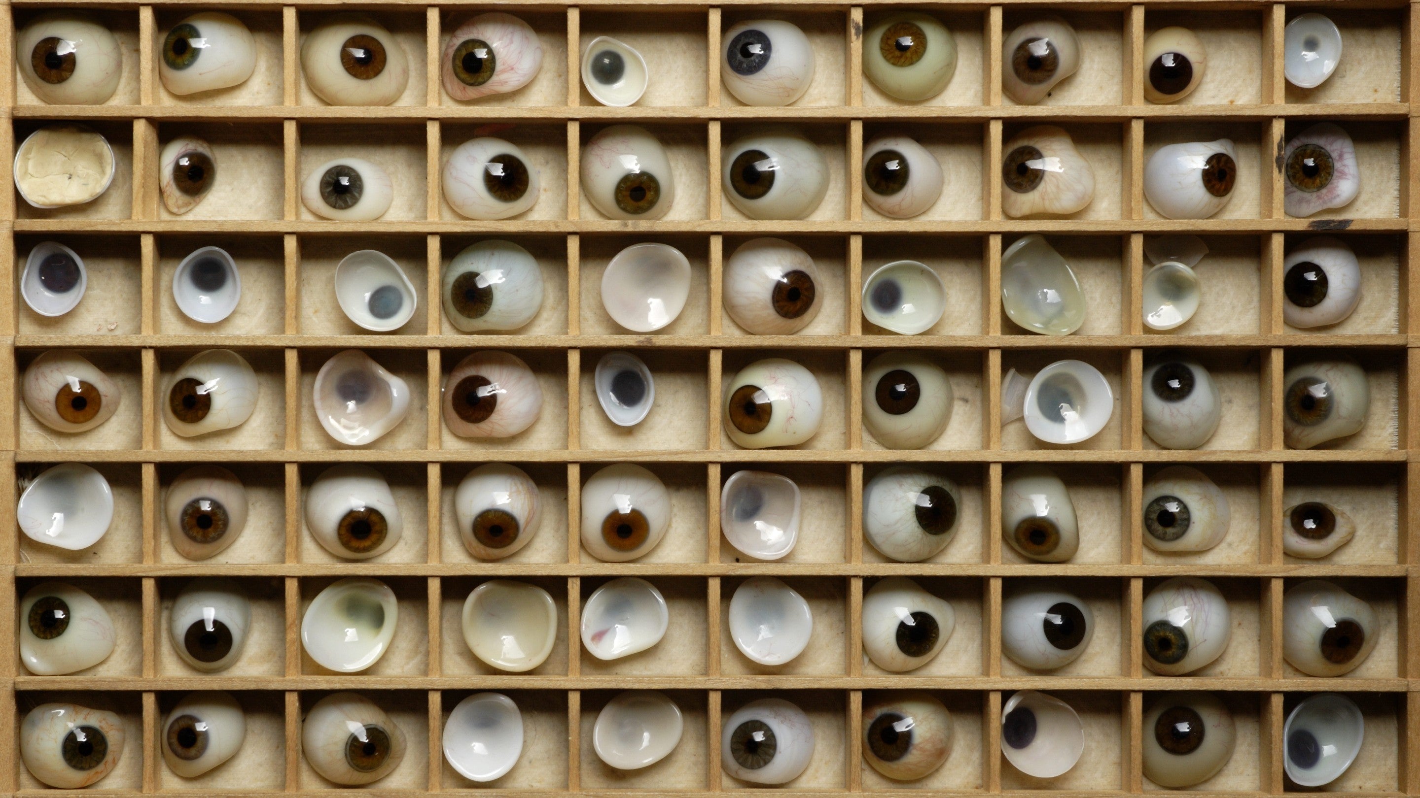 Glass eyes individually separated in a wooden display case