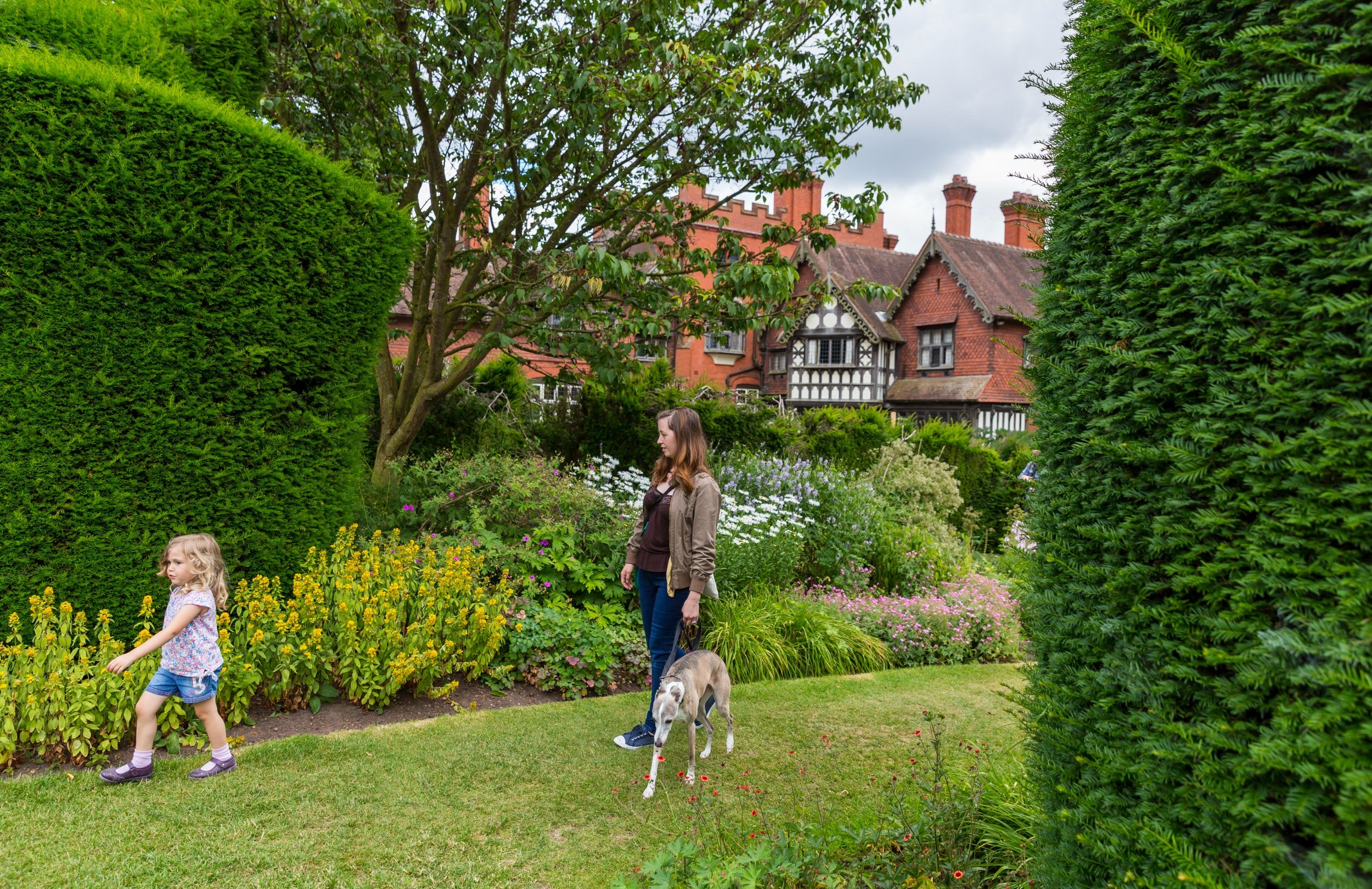 A woman and child walking thier dog on a lead, through the Formal Garden at Wightwick Manor. The flower beds are in full summer bloom and the Manor can be seen in the background.