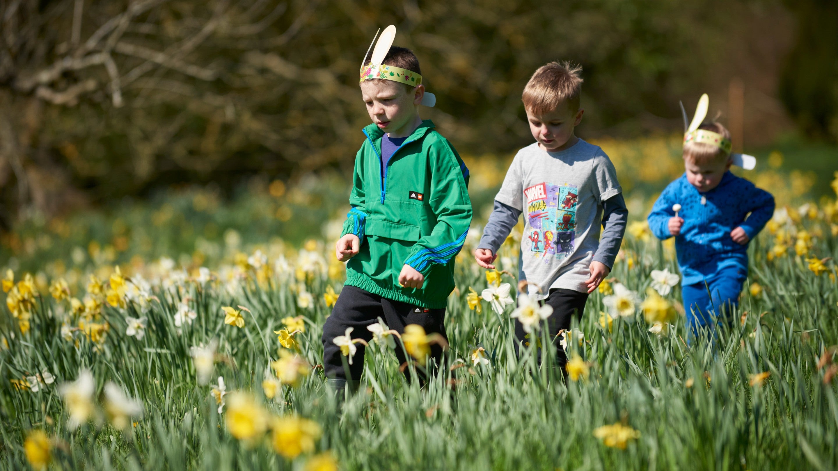 Three children walking through a field of daffodils, marching in line with the eldest at the front wearing cardboard bunny ears as it the youngest at the back, who is also clutching a dandelion he has picked.