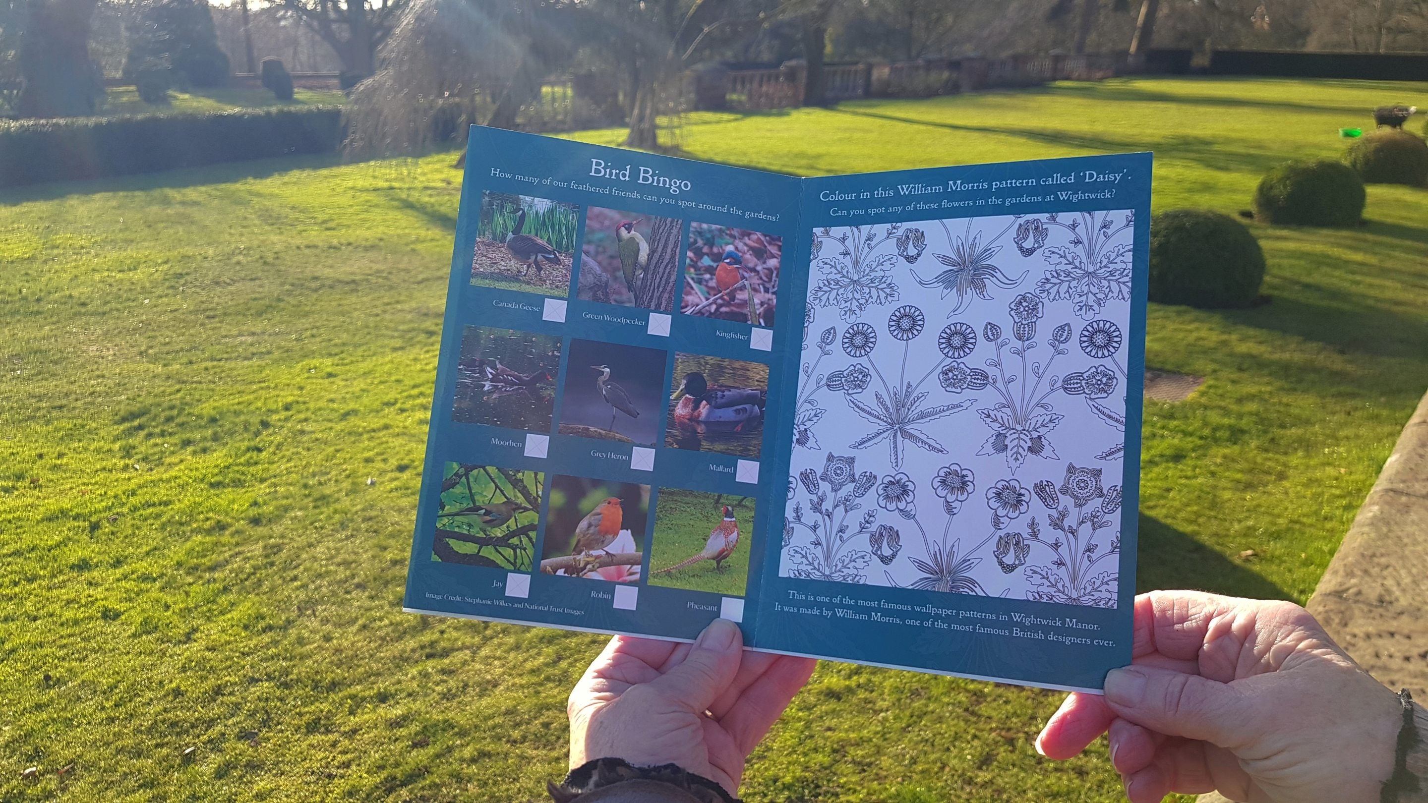 Looking over the shoulder of a person is holding a blue activity booklet which shows images of birds and a William Morris colouring page. They are outside in the gardens at Wightwick.