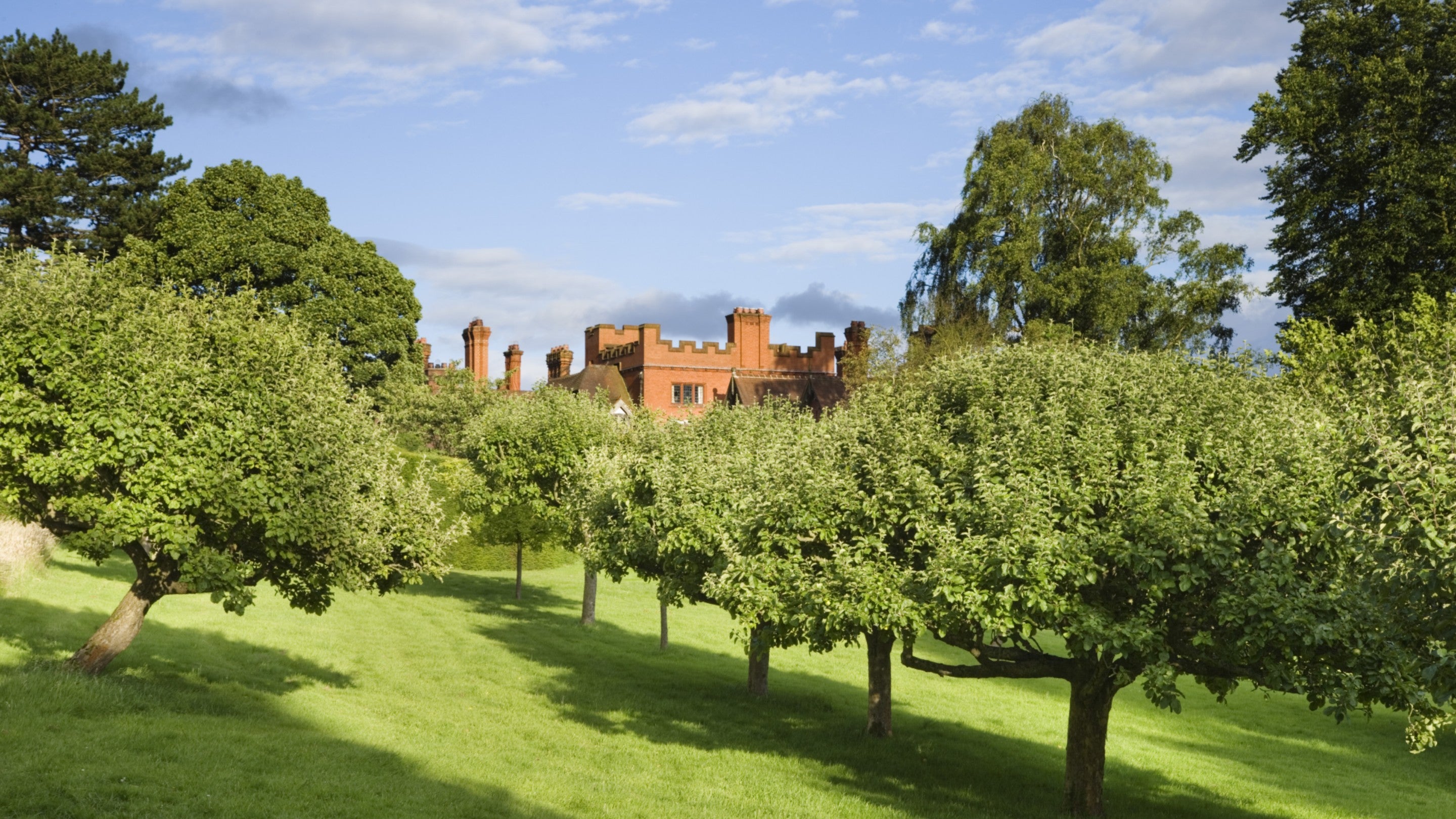 A view over the trees in the orchard on a summers day looking towards Wightwick Manor in the background.