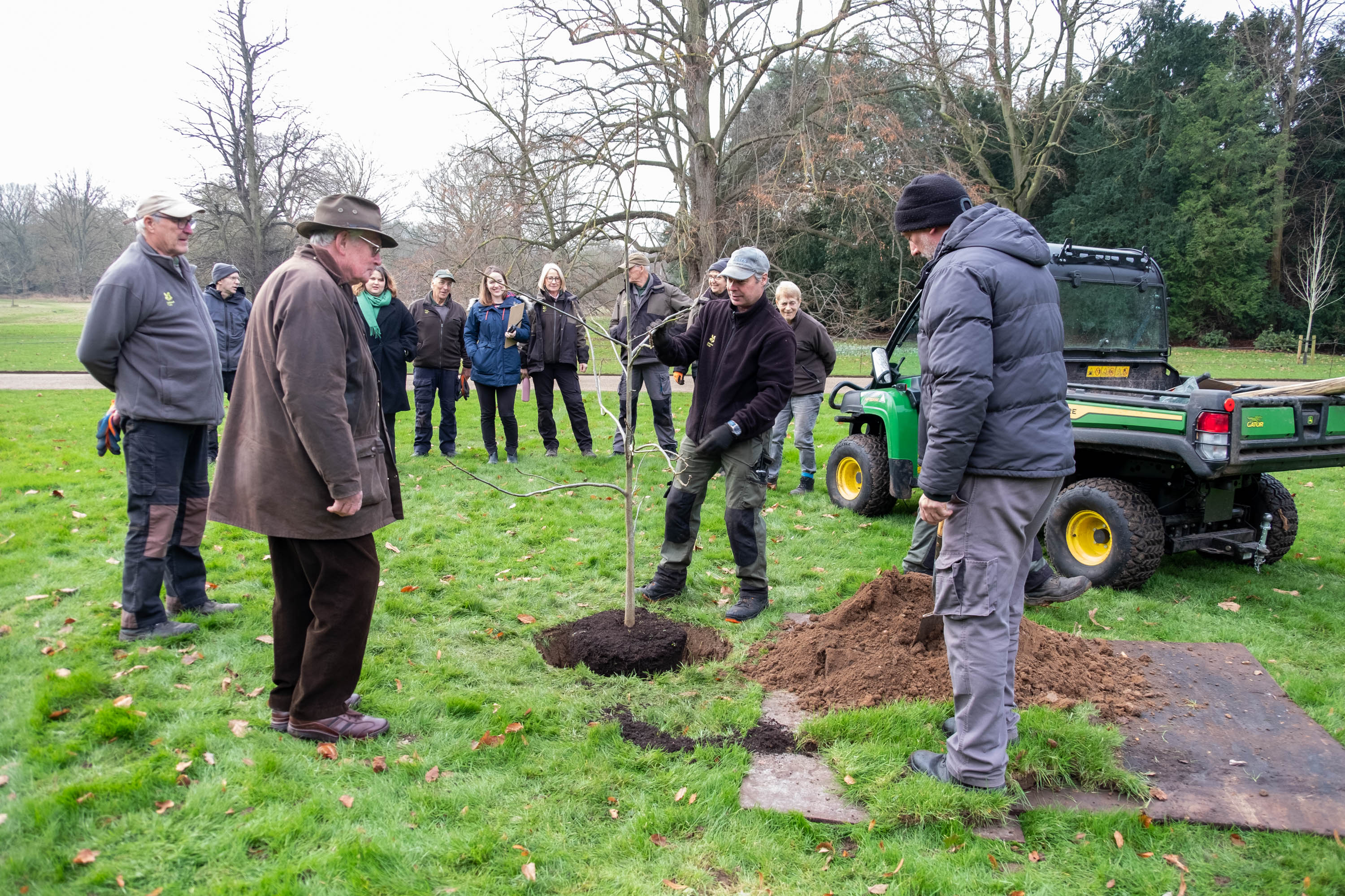 A group of staff and volunteers watch on as the gardeners prepare to plant a tree in the hole dug in the ground.