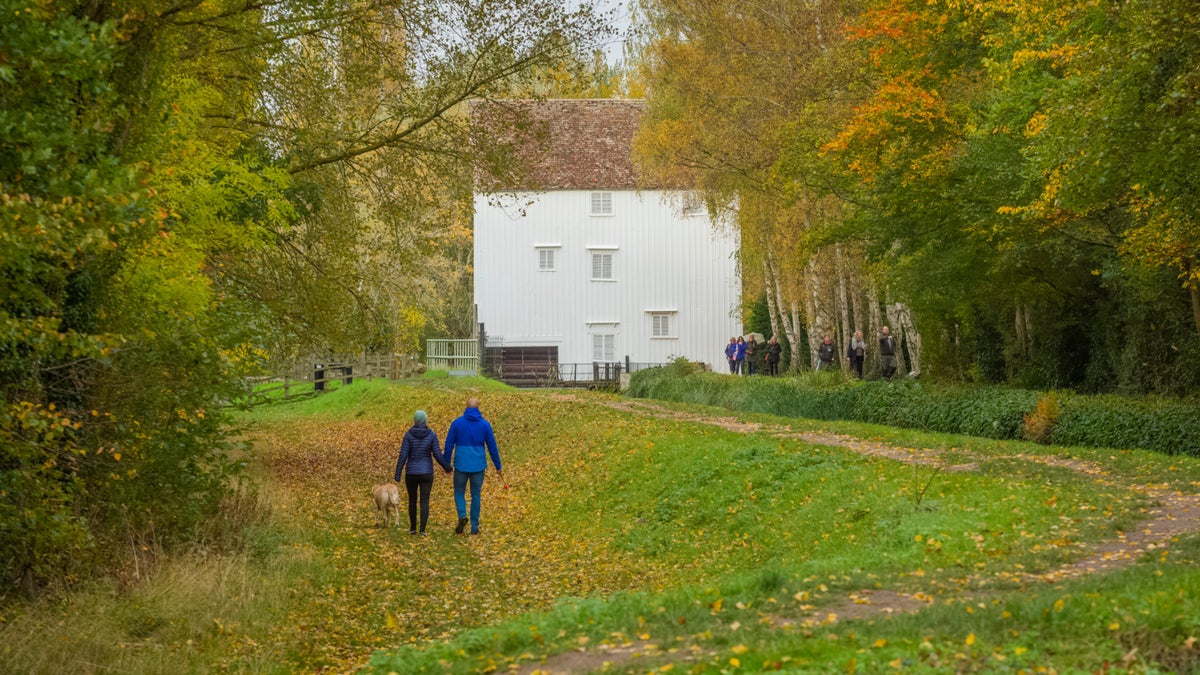 Lode dogwalking trail Cambridgeshire National Trust