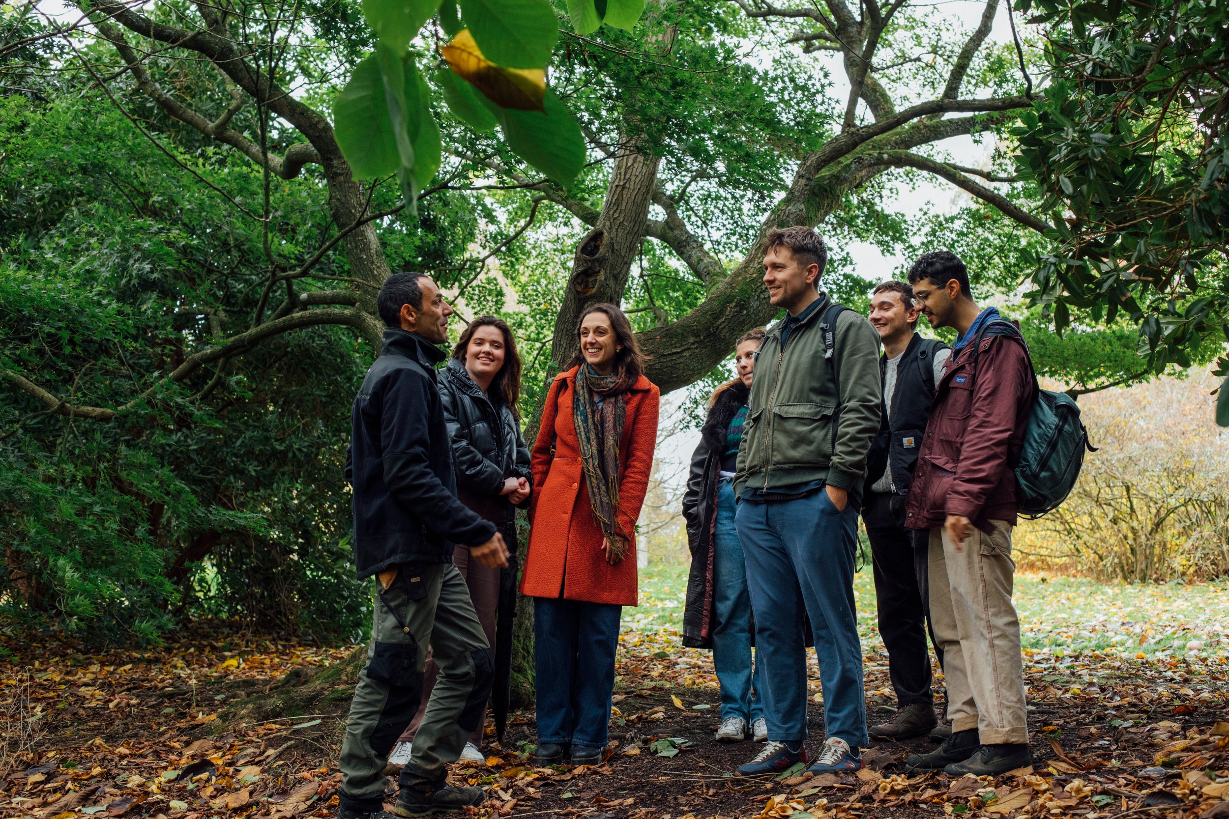 A guided tour in the gardens, under a big tree