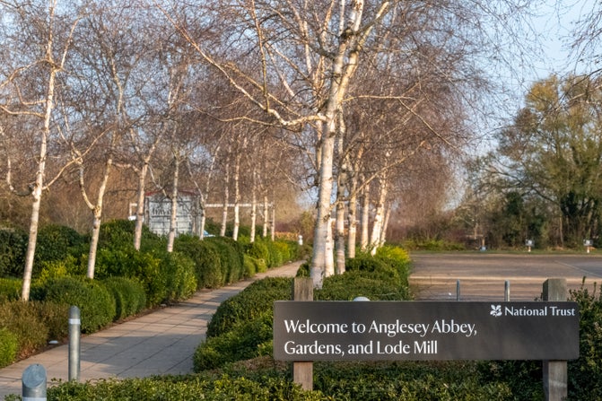 A view of the car park and path lined with silver birches by the visitor centre, with a sign reading 'Welcome to Anglesey Abbey, Gardens and Lode Mill'.