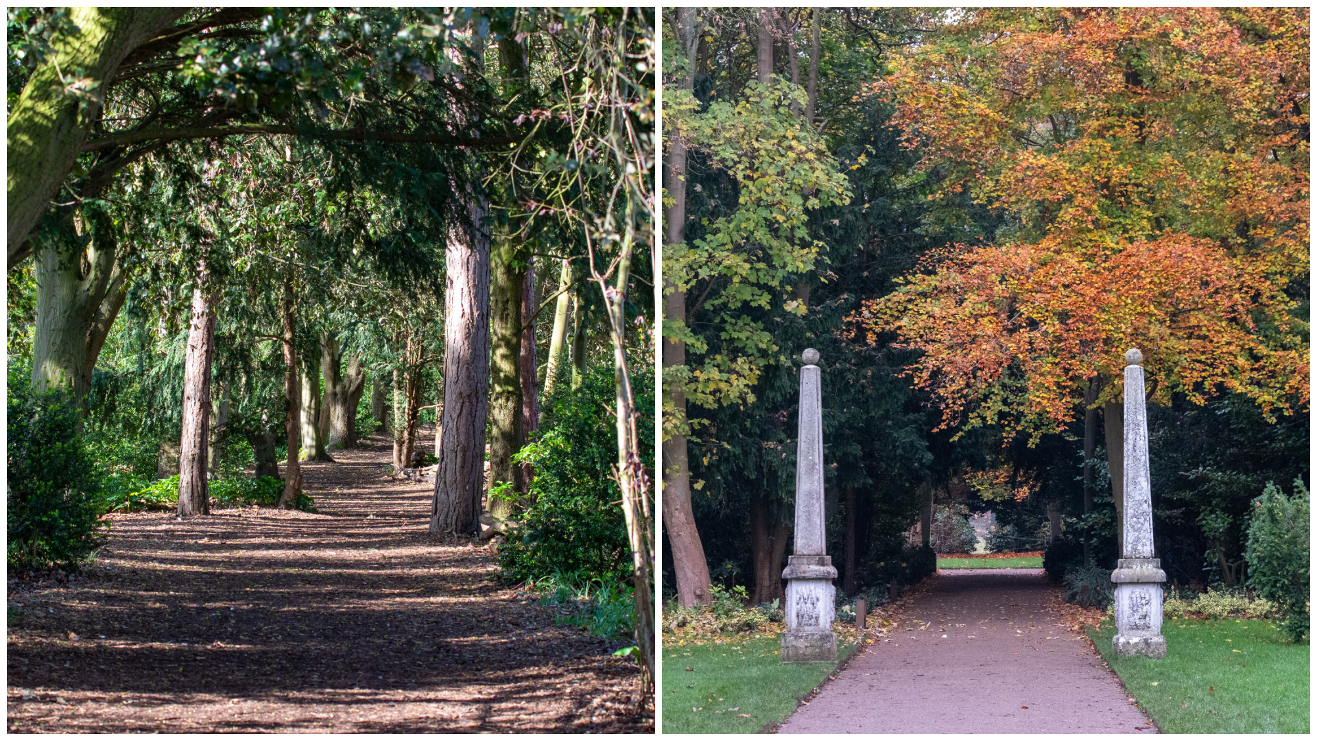 Two photos: on the left, woodland bark-chipped path with a leafy canopy; on the right, hard standing path between two columns, with autumnal leaves above it.