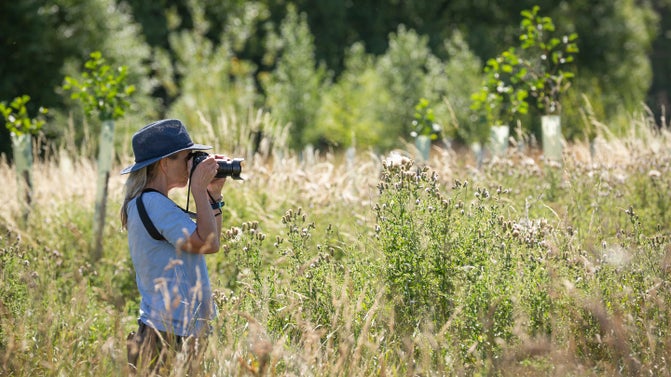A woman with a DLR camera standing in a meadow taking nature photos
