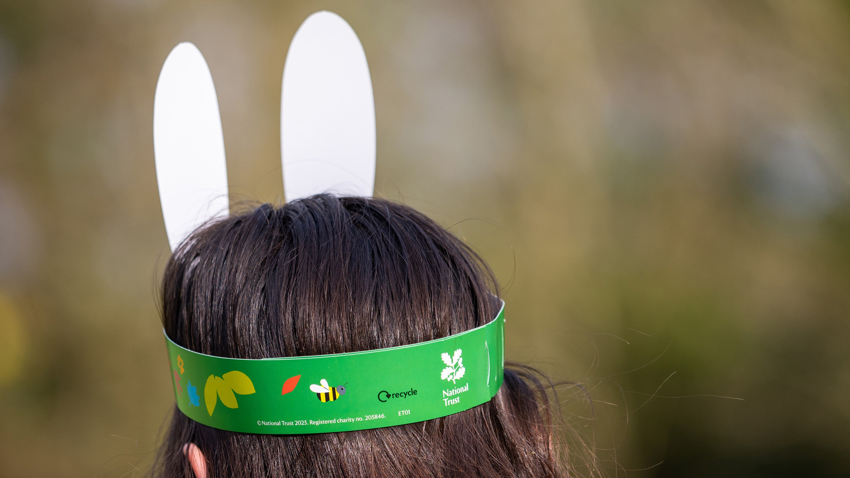 A photo showing the head of a young girl from behind. She is wearing green cardboard bunny ears