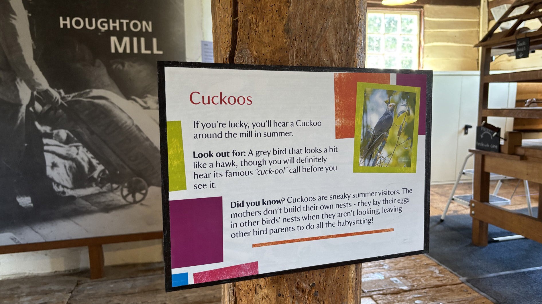 A family trail interpretation board giving details about cuckoos