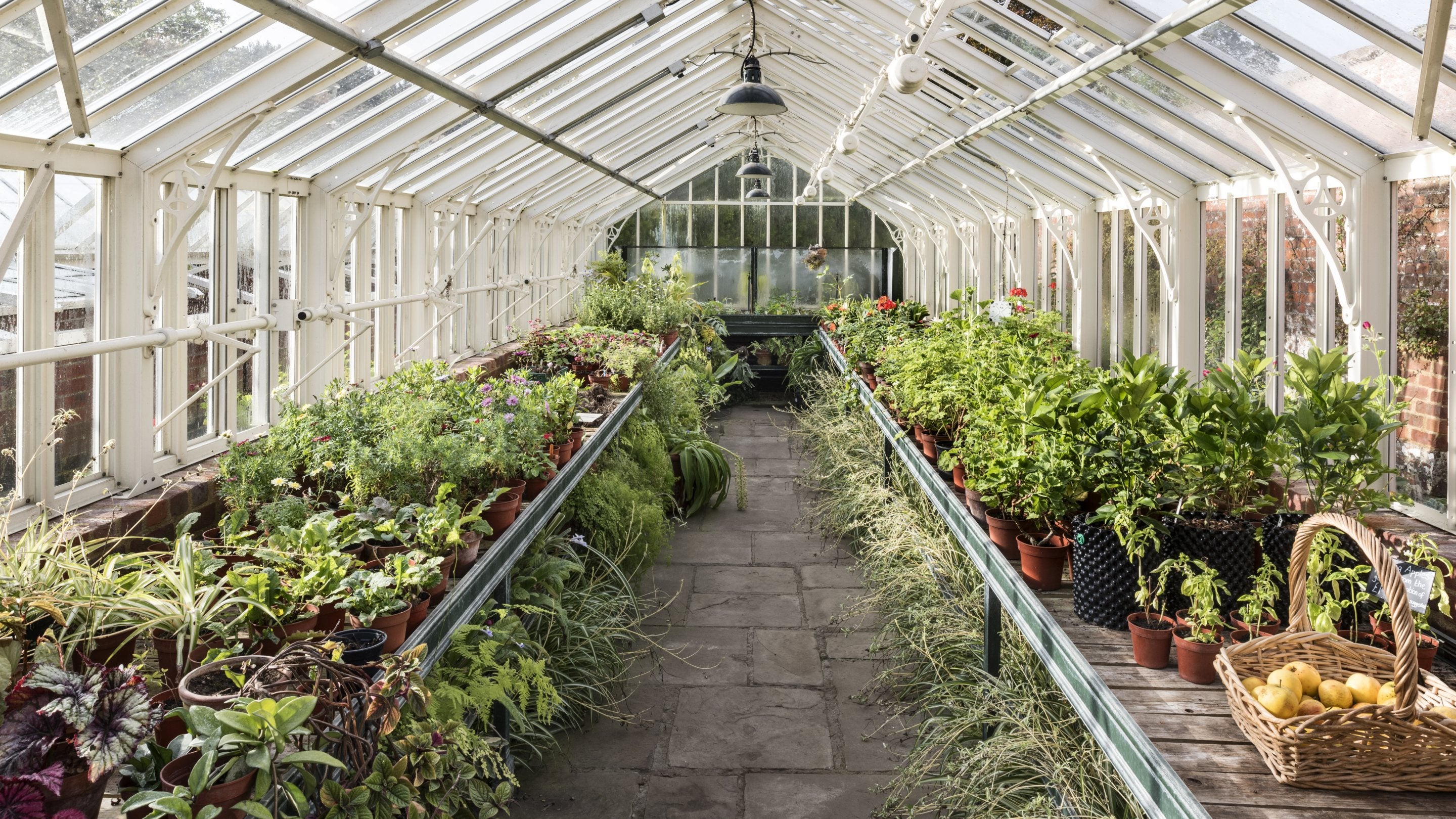 The Propagation House at Peckover House and Garden, Cambridgeshire