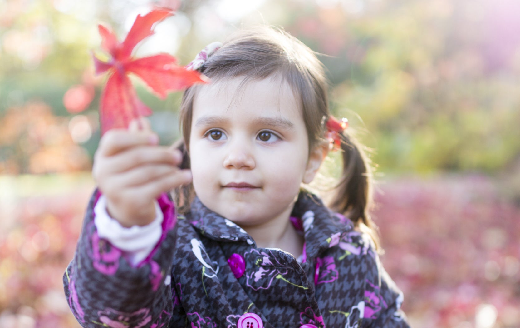 A girl playing with leaves in the autumn