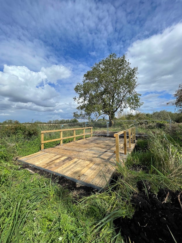 A wood bridge across a ditch, with a tree in the background