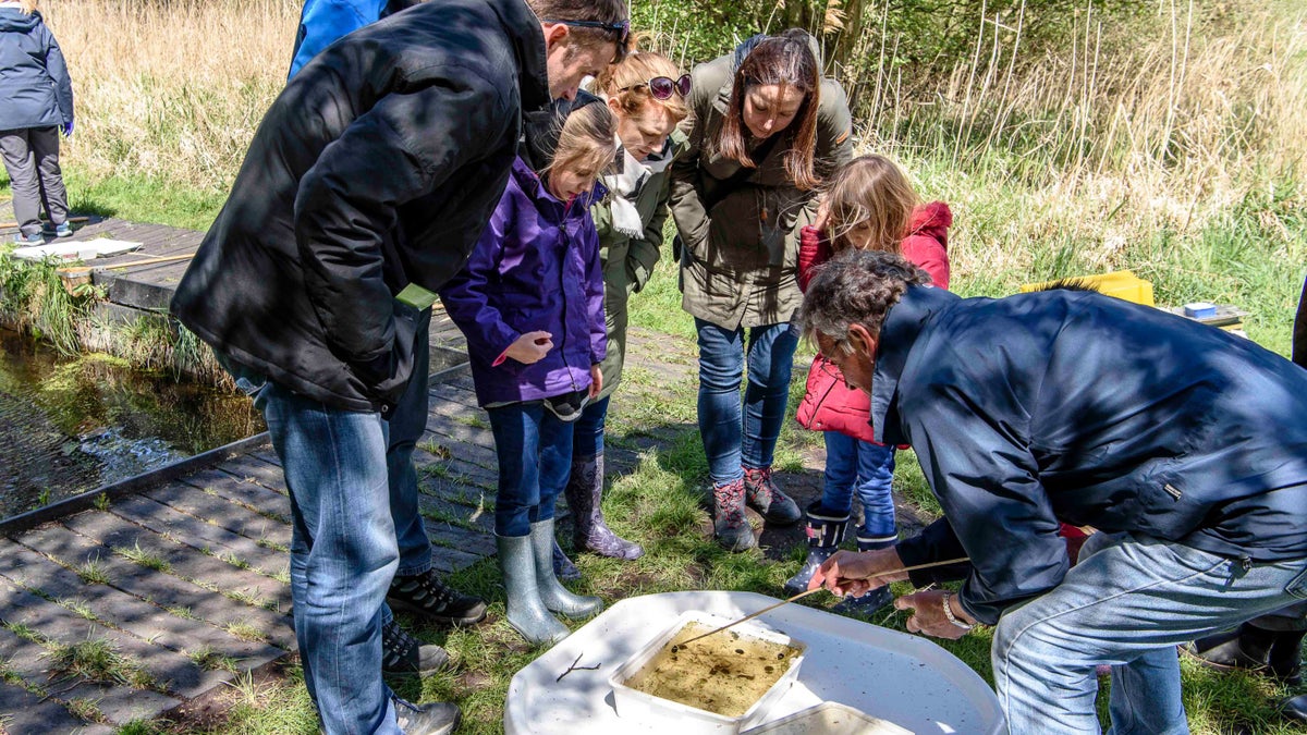 Bringing schools to Wicken Fen | Cambs | National Trust