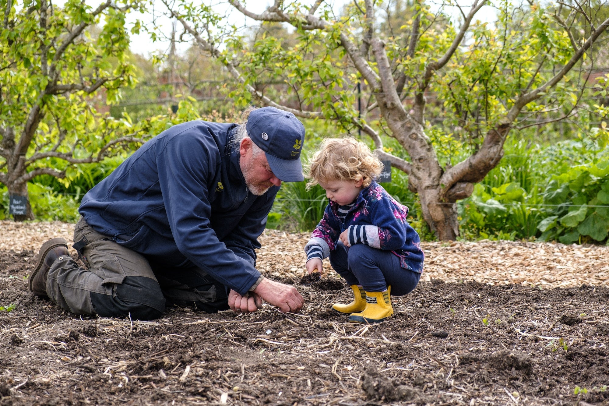 A child plants a seed at Little Acorns pre-school group at Wimpole Estate, Cambridgeshire