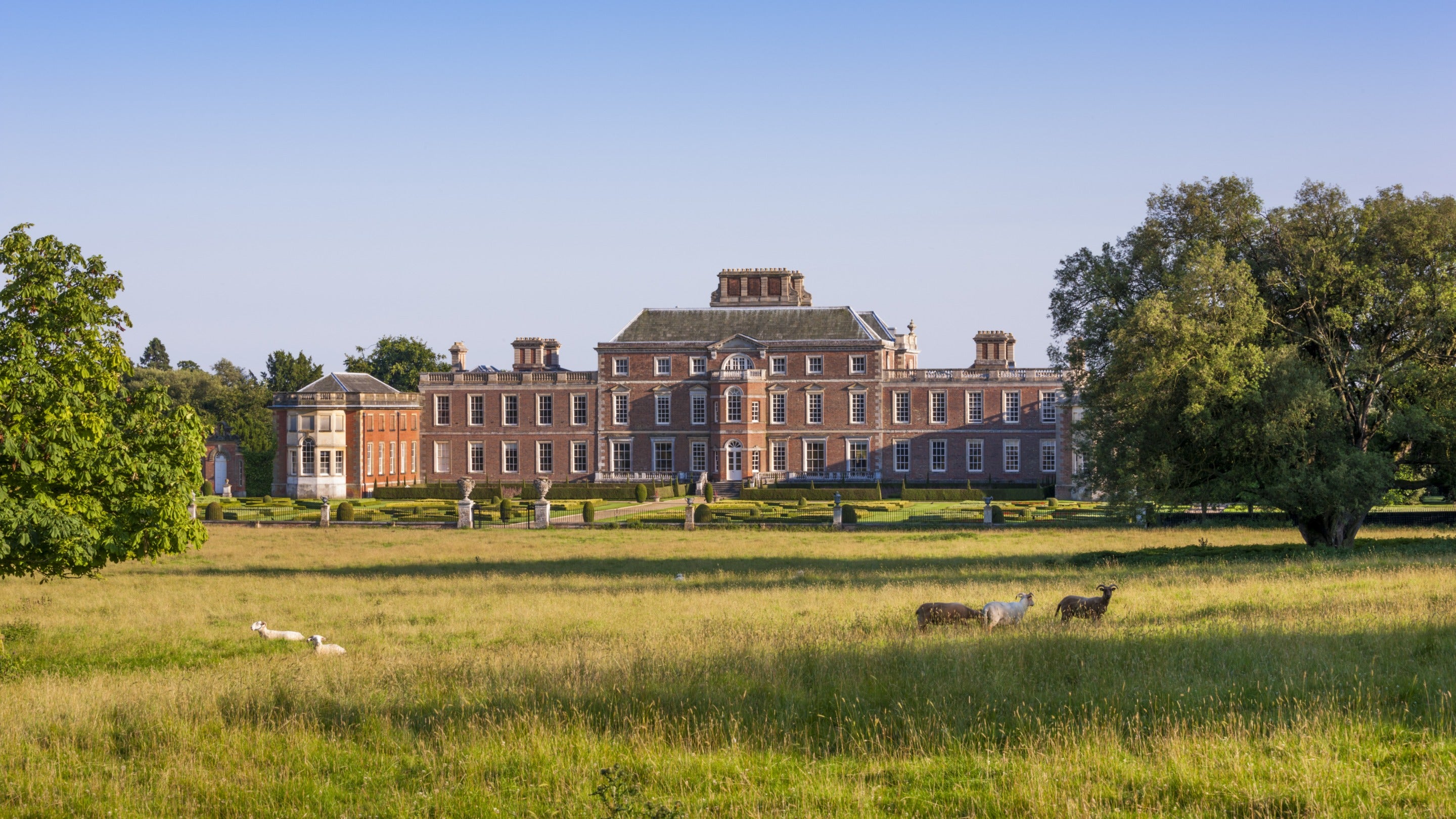 The north front of Wimpole Hall, Cambridgeshire, from the park, with grazing sheep and trees in the foreground.