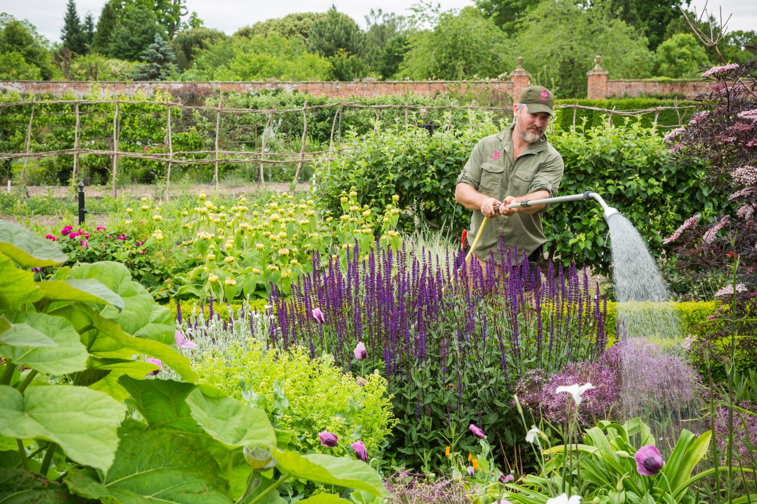 A gardener watering the garden in summer at Wimpole Estate, Cambridgeshire