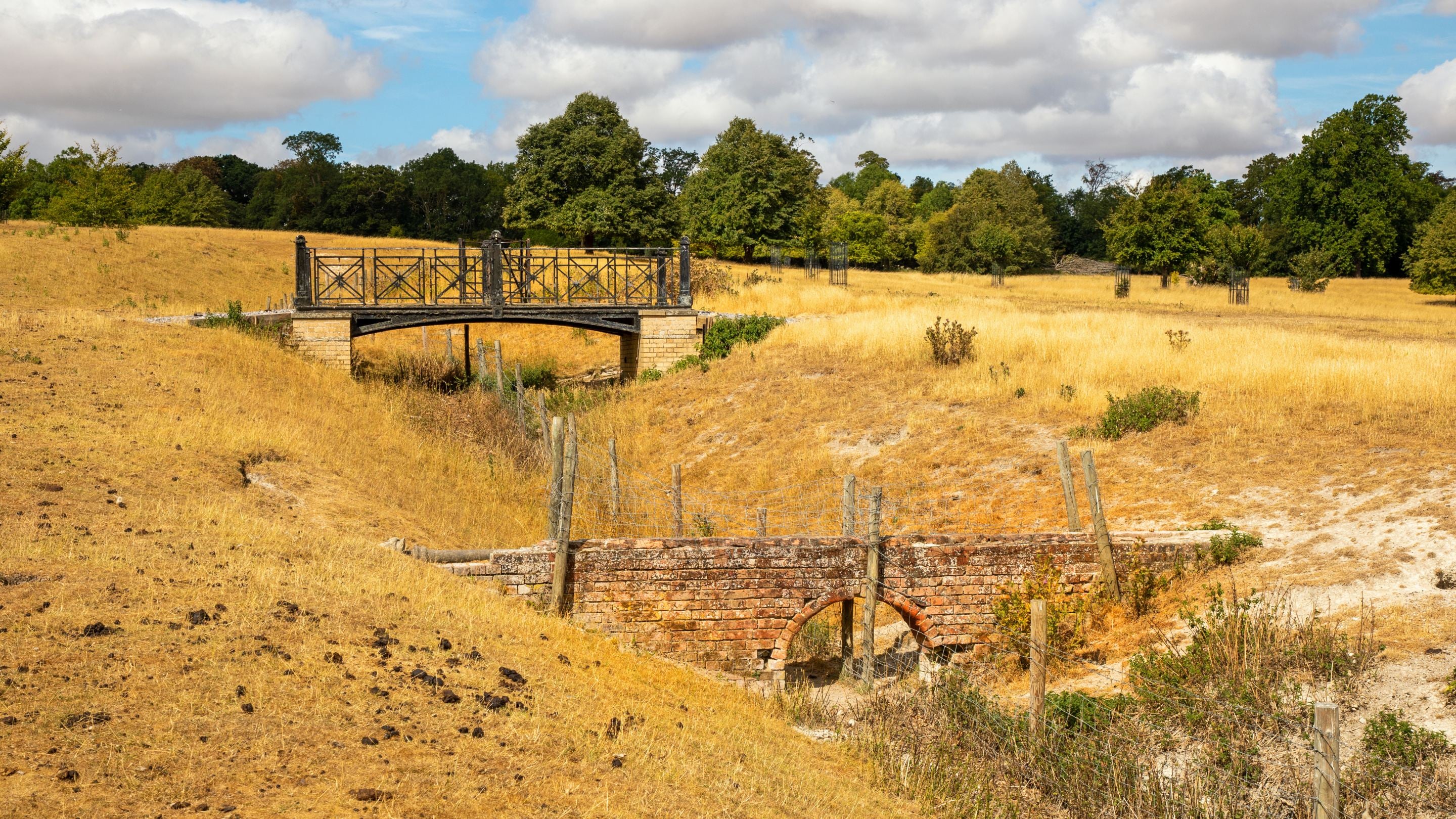 Parched brown grass in the parkland at Wimpole Estate