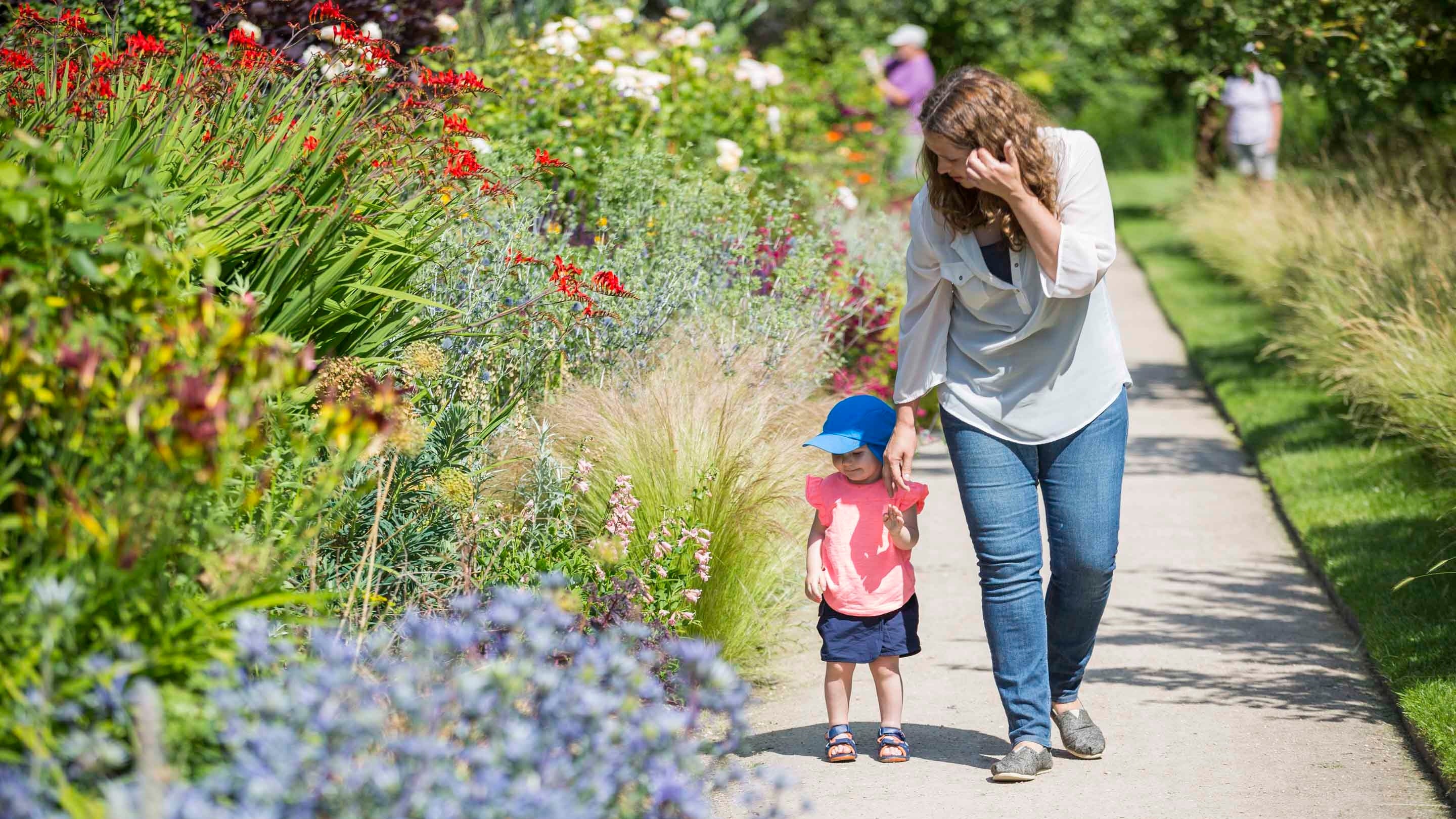 Visitors in the Walled Garden in July at Wimpole Estate, Cambridgeshire